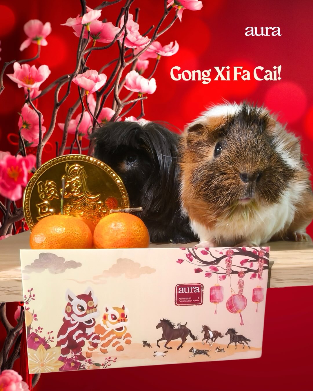 新的一年,全新开始。
春暖花开,生机勃勃。
AURA祝你们马到成功、龙马精神、财源滚滚、身体健康、步步高升、恭喜发财!
在马年的日子中缤纷多彩,迎接美好的新年!
A fresh start for the new year.
Spring blossoms bring vibrant renewal.
AURA wishes you swift success, boundless energy, rolling prosperity, robust health, steady advancement, and abundant fortune.
May your Year of the Horse be richly colourful, welcoming a splendid new year!
🐎🏮🧧🍊🍊🧧🪭🥠