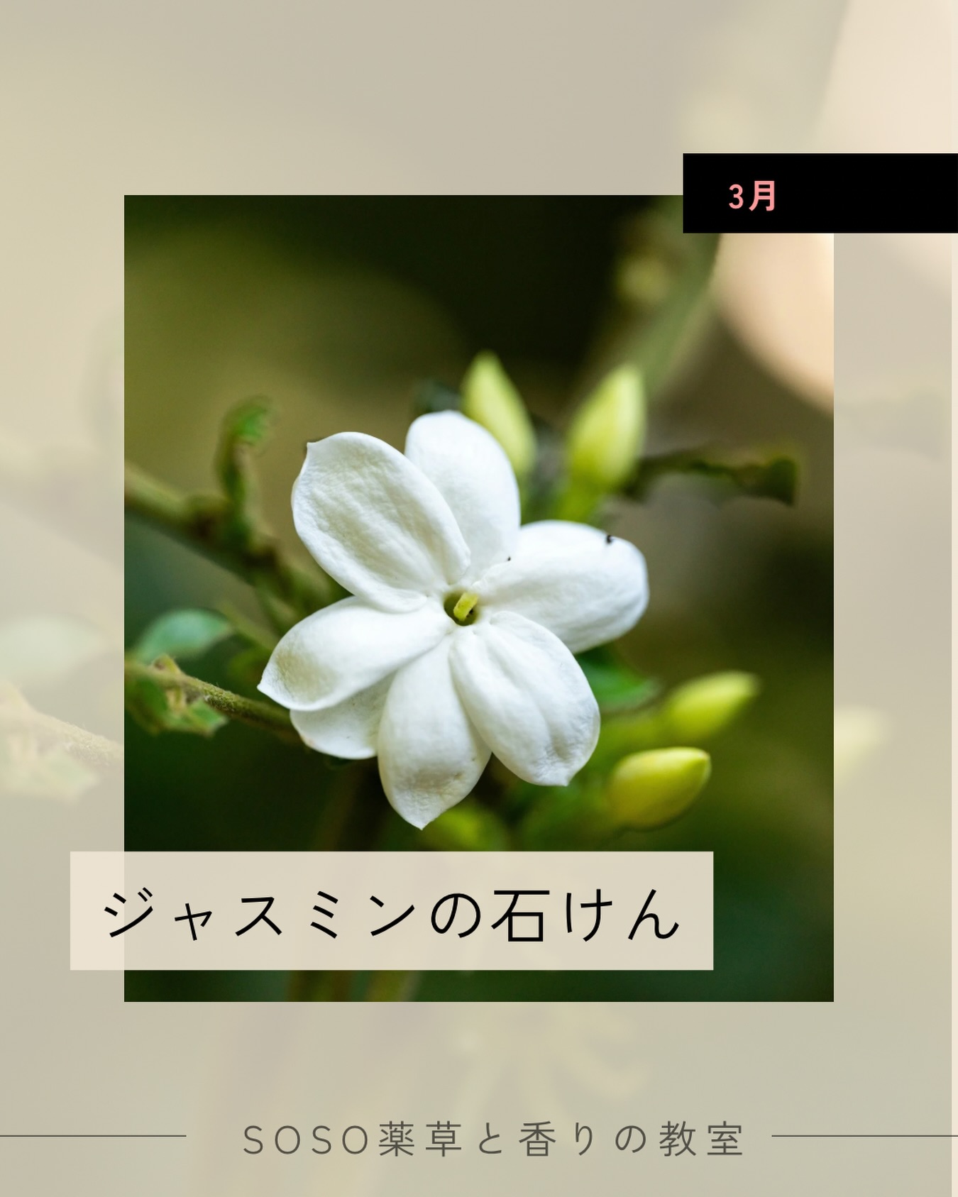 3月|Seasonal Soapmaking
ジャスミンの石けん
香りに身をゆだねる、
深い安