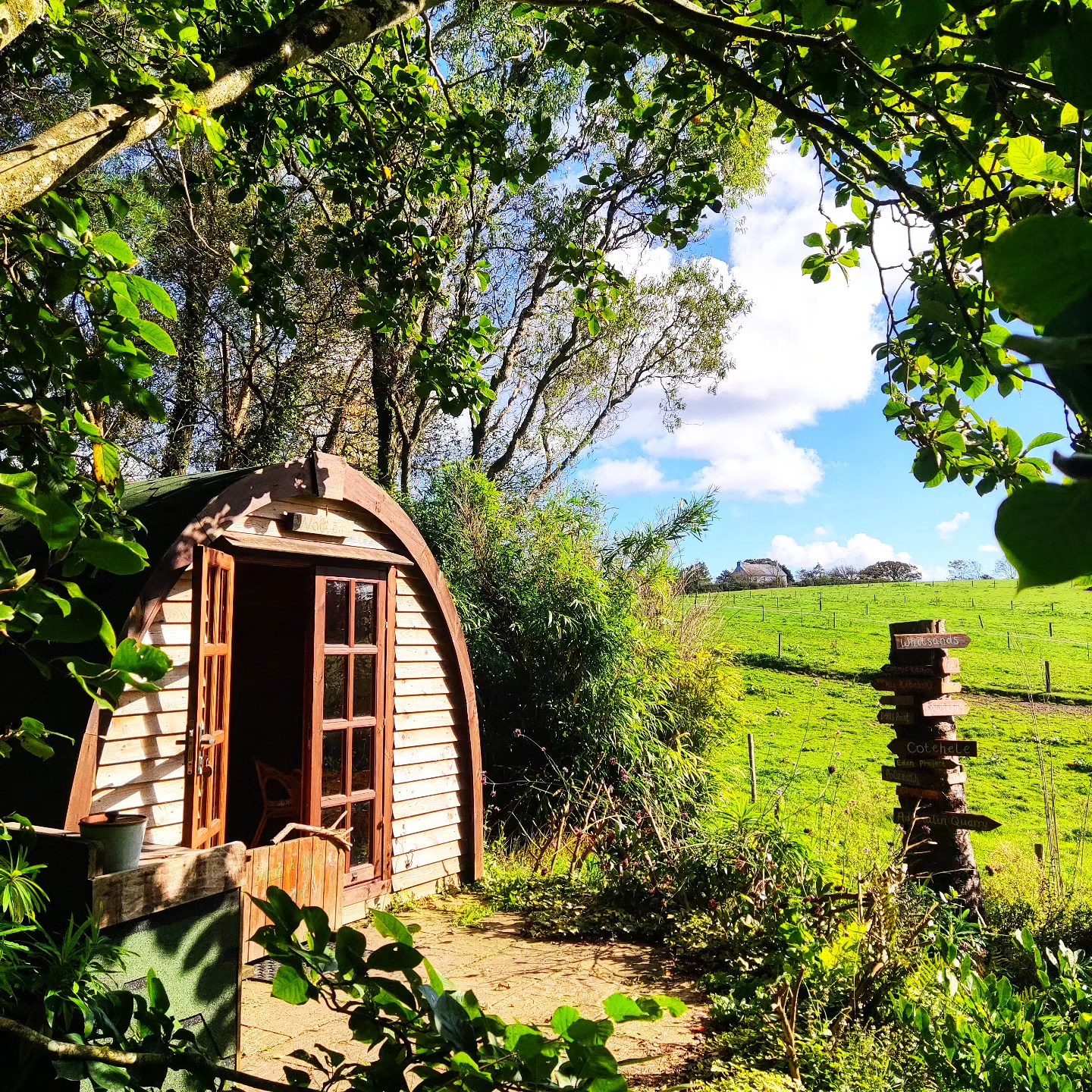 Welcoming Autumn 2023 🍁 @thegreenhousesparetreat with our crafted 'wondering tree' at Wollemia.
Having lost three dear trees back from storm Eunice we have been lucky to have the Eucalyptus sprouting back with a punch 🌿
The Abies grandis didn't make it... To incorporate the trunk into something special we have created sign posts of our favourite places we visit locally for you to enjoy 🌈
Happy glamping with us 🌞
Checkout some of them now 💚 @thehedgerowhound @vegatintagel @cosmickitchenplymouth @thebigkebabski
@ntcotehele
@adrenalinquarry