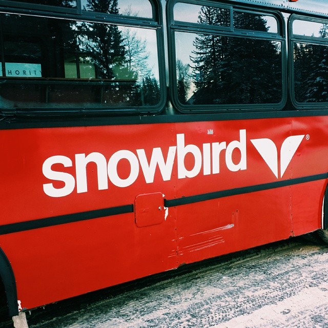 #snowbird #skiing #snowboard #winter #ski #snow #utah #sundancefilmfestival #sundance14 #wasatchmountains #littlecottonwoodcanyon