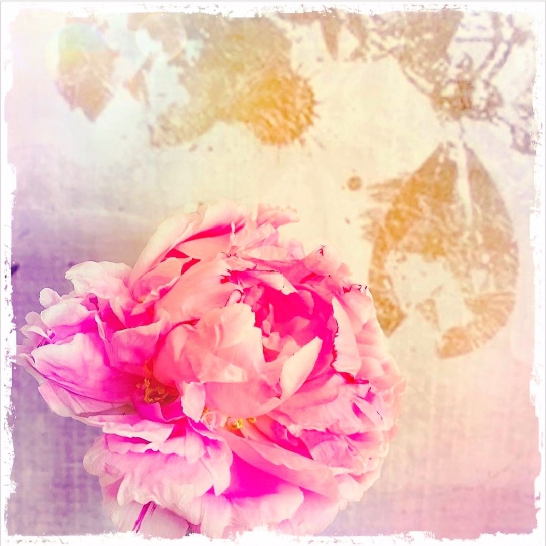 The moment you decide to be here.
Is the moment you arrive in yourself.
The moment you answer the call of your soul, all energy starts to return home.
PURE ESSENCE COACHING
einfachdusebst.com
#einfachdusebst #webdesign #essenzcoaching #g4 #beenoone #energietanken #g4 #mitochondrientraining #asanas #mitoboost #naturallifebalance #worklifebalance #beyourself #beyou #stressmanagment #coaching #seminare #empowerment #einfachsein #allesistmöglich #youaredivine
#youaretthefire #dowhatyoulove #getinspired #letitflow #donotholdbackyourdivinepower #selflove #makeselflovecoolagain #makeselfloveapriority