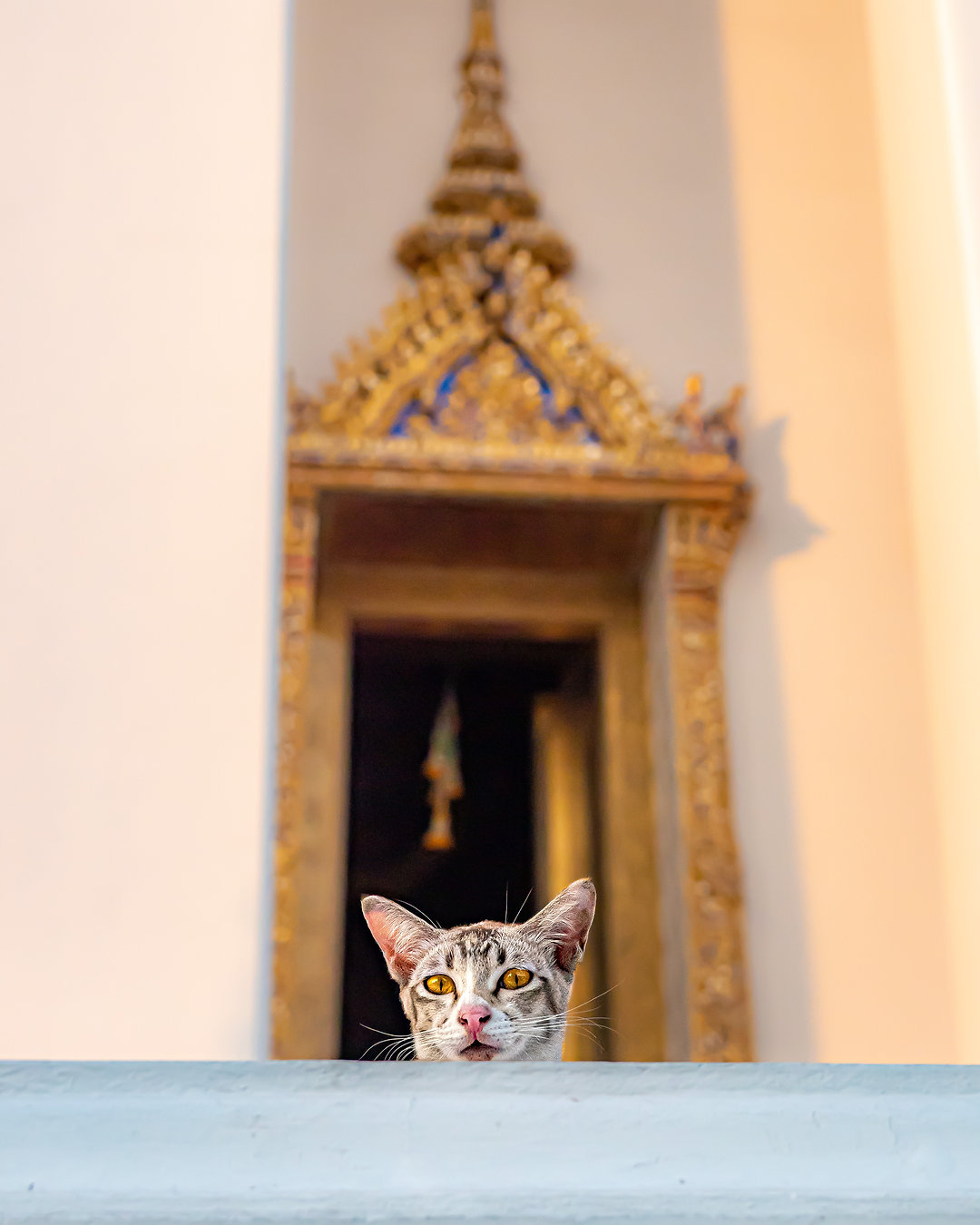 Capture the heart of Bangkok from Wat Arun's golden calm to Chinatown's neon pulse. Our guide shares the best spots and pro tips for a private photography tour. Link in Bio to read the full guide and book your tour.
#Bangkok #PhotographyTour #TravelPhotography #PhotoTour #Bangkok #Thailand #StreetPhotography #GoldenHour #BangkokPhotography #TravelPhotography #PhotoTour #Bangkok #Thailand #StreetPhotography #GoldenHour