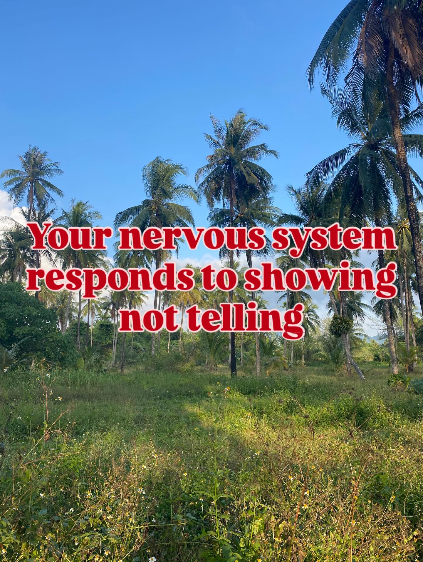 Regulation is not a cognitive process - you can tell yourself youāre fine but if your nervous system doesāt feel it then nothing changes.
While insight and understanding matter, the autonomic nervous system learns through repeated, embodied experiences of safety, rhythm, and co-regulation.
Tone of voice, pacing, breath, and presence often do more to settle the system than reassurance or explanation alone.
EMDR is a somatic therapy, not a cognitive therapy. When talking alone hasnāt helped, it could be time to tune in to what the body is trying to tell you.
#emdrtherapy #traumatherapy #sawyapsychologicaltherapies #healingtherapy #recoveryfromtrauma