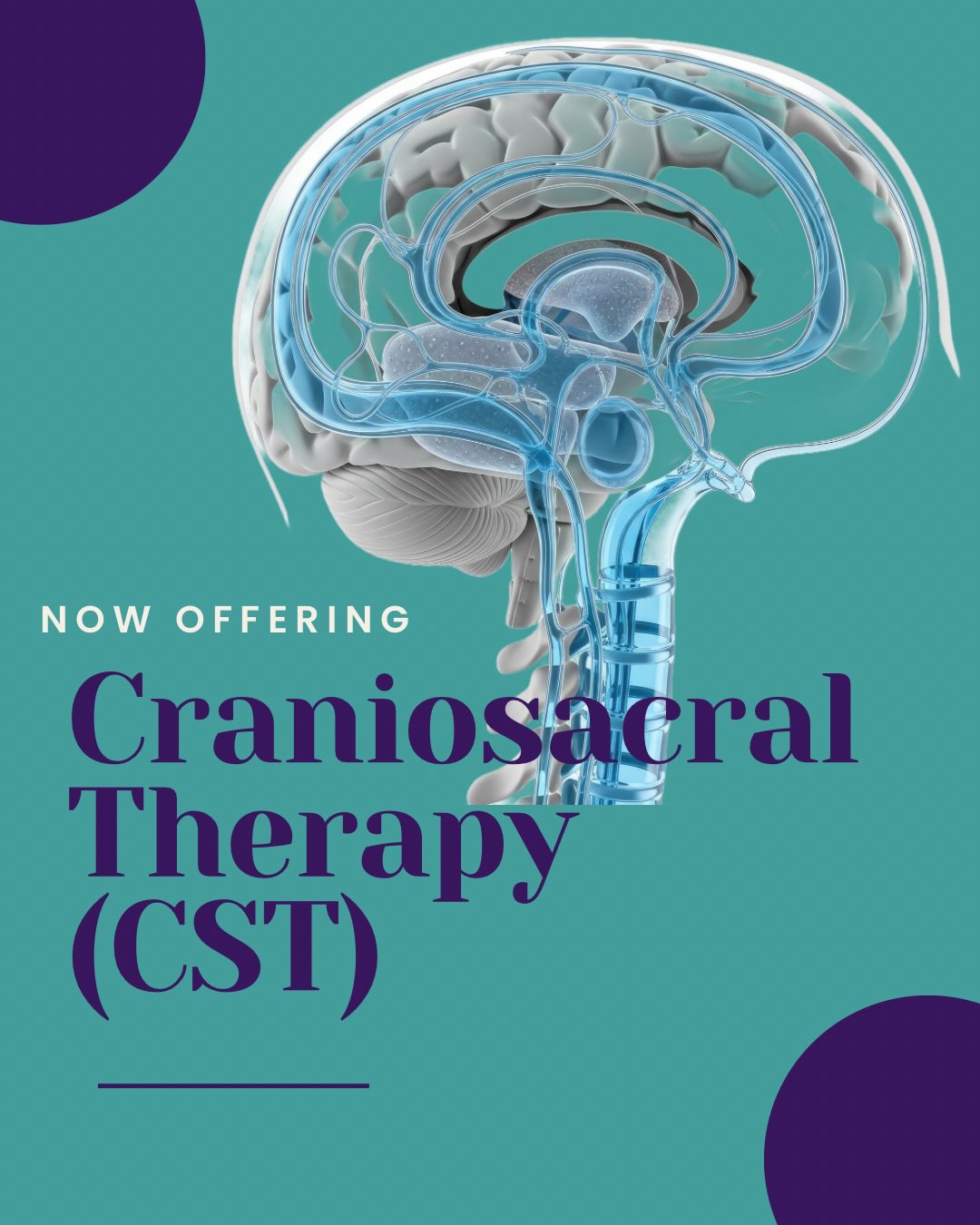 š§ Craniosacral Therapy is a gentle, hands-on approach that works with the bodyās nervous system to support healing and regulation.
𤲠By using light touch, CST helps release restrictions around the brain and spinal cord, allowing the body to move out of āfight or flightā and into rest, repair, and recovery.
⨠Benefits may include decreased pain, improved sleep, reduced stress, and better overall balance in the body.
š¤Sometimes the most powerful work is the most subtle.
#craniosacraltherapy #nervoussystem #allin #bethebestyou #newoffering