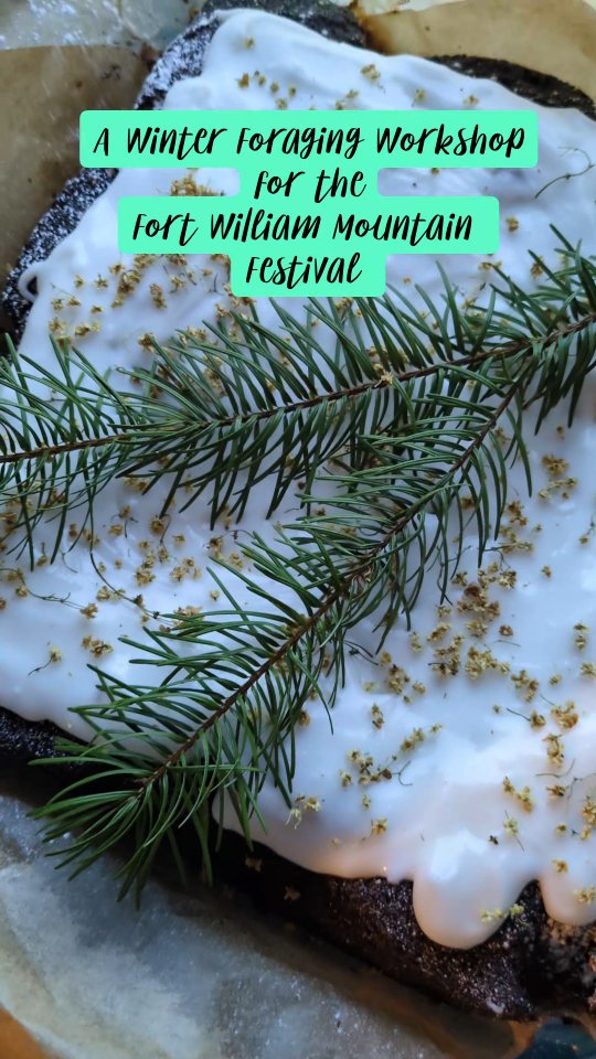 Awww thanks again for having me Fort William @mountainfestival and thanks to all my wonderful guests for joining me. I didn't take many videos but this gives you the vibe. We had crystal clear winter days, edible seasonal highlights and, of course, cake! I'm already looking forward to next year and I've decided that I'll be running some seaweed sessions too! ❄️🙌🏽🤗🌱