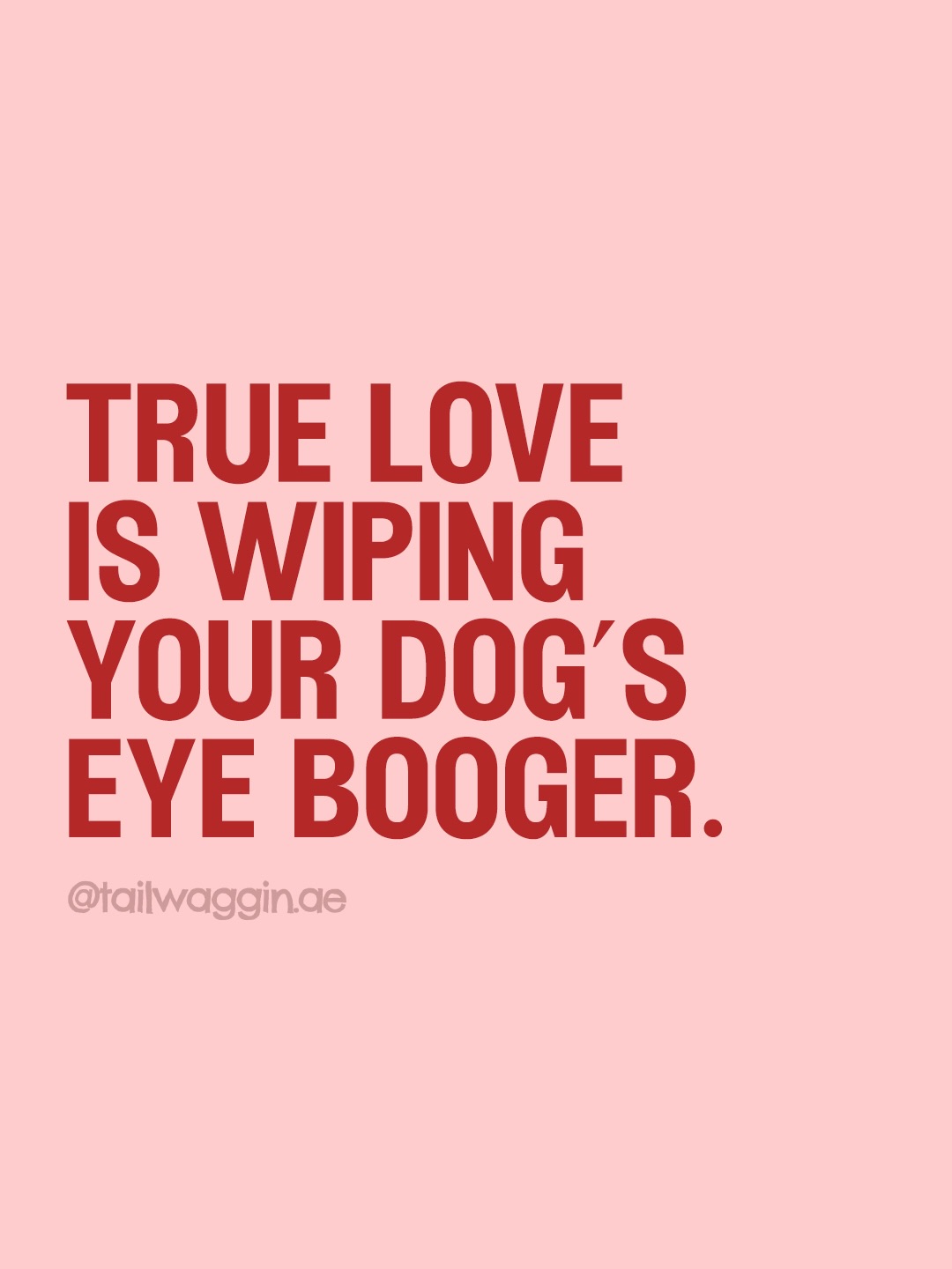 Send this to the one who loves your pet almost as much as you do. 🧡🐾 Happy Pawlentine’s Day!