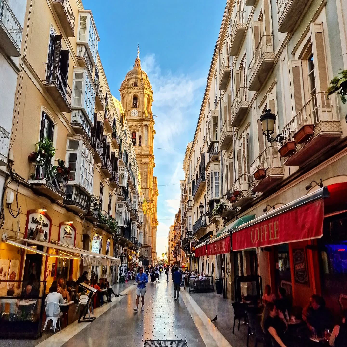 Streets of Málaga 📍 Calle Molina Lario
❗️ One of the main streets in the historic centre of the city. If you're looking for the Málaga Cathedral (Catedral de la Encarnación de Málaga), you won't miss it here!
.
.
.
.
.
.
#lovingmalaga #malaga #malagalife #malagaturismo #malagaspain #málaga #malagatoday #andalucia #ckmalagalife #ok_malaga #ok_andalucia #españa #spain #estaes_malaga #visitspain #visitmalaga #ok_spain #photosofmalaga #malagaconacento #spain_all_pics #lateandalucia #catedraldemalaga #travel #travelphotography #livelovespain #latemalaga #enamoratedemalaga #objetivoandalucia #latildedemalaga