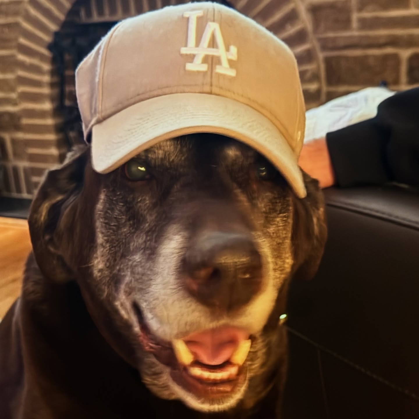 Guess where we are headed next? 🎥🎬⭐️