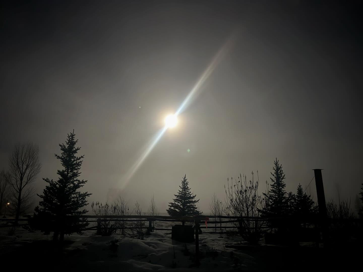 From the depths of women’s soul comes the power to unite and create change. The watchful full moon has seen their courage hold fast over many seasons. The warrior hearts of women will charge forward with such a force we will take notice, survive and thrive. ~ Dana Tiger
.
#woman #force #soul #survive