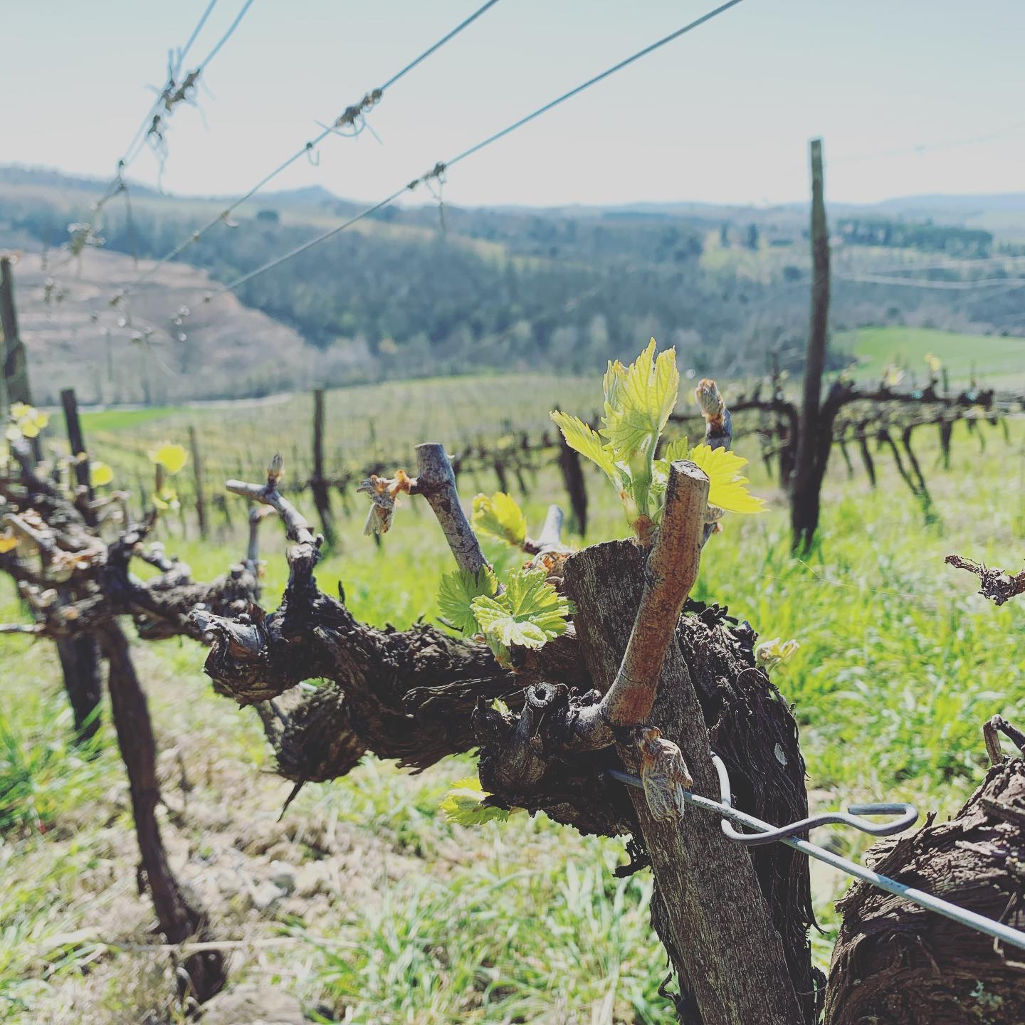 La stagione 2020 è iniziata, noi siamo pronti e voi?