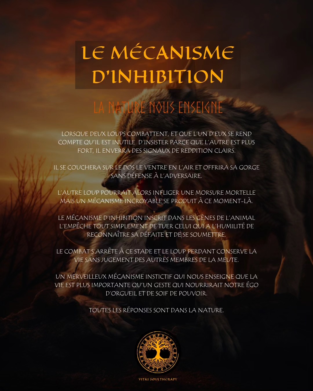 Connaissais-tu ce merveilleux processus instinctif qui se produit chez le loup ?
L' homme est parfaitement capable d'atteindre cet état en réussissant à mettre son ego de côté, la méditation est un des outils parfaits pour y arriver.
Nous avons tellement à apprendre en observant la nature !
#chamanismeceltique #chamanismenordique #communaute #connexionnature #connexionspirituelle #mediter #pouvoirdelanature #reveletapuissance #spiritualitédécomplexée #vivreaupresent #bénédiction #contrôle #decouvertedesoi #energievitale #forcementale #gestiondesemotions #lâcherprise #mieuxvivre #loup #pouvoirpersonnel #seliberer #vivreensemble #chamanisme #inspiration #conscience #sagesse #humilité #suisseromande #bulle
