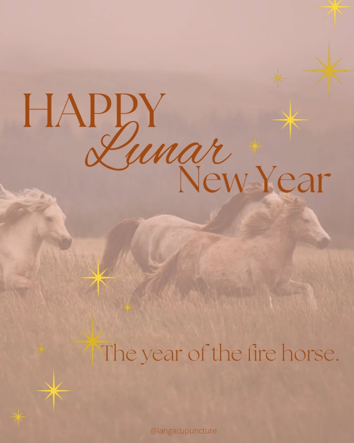 Happy Lunar New Year to the Lang Acupuncture Community!! 🎊🥳
Wishing you all a positive and healthy lunar new year filled with an abundance of joy and laughter.
We are moving into a Fire Horse year 🔥 which is a big shift in energy from the Wood Snake year 🍃.
The wood energy is strong, but growth is gradual. Like a tree that needs to form deep roots in order to ensure stability and longevity through the different climates and elements. That was the energy 2025. It was a year to shed patterns that no longer served us and form deep roots and foundations in order to ready us for what is to come in 2026.
2026 is the Fire energy. It's a faster pace, bringing more excitement. The fire element brings more assertiveness to the table. Things that were once stagnant or slow moving in 2025 will most likely shift faster. Our world will shift and change quicker than before. This is where the work you did to build strong foundations in the Wood year is important. To handle the fast pace and fire of 2026 those foundations are required. Fire is very much go go go energy, but remember, everything must be in balance. Exciting and fast is great, but if not managed with adequate rest, can bring exhaustion and "combustion".
#lunarnewyear #brisbaneacupunctureclinic