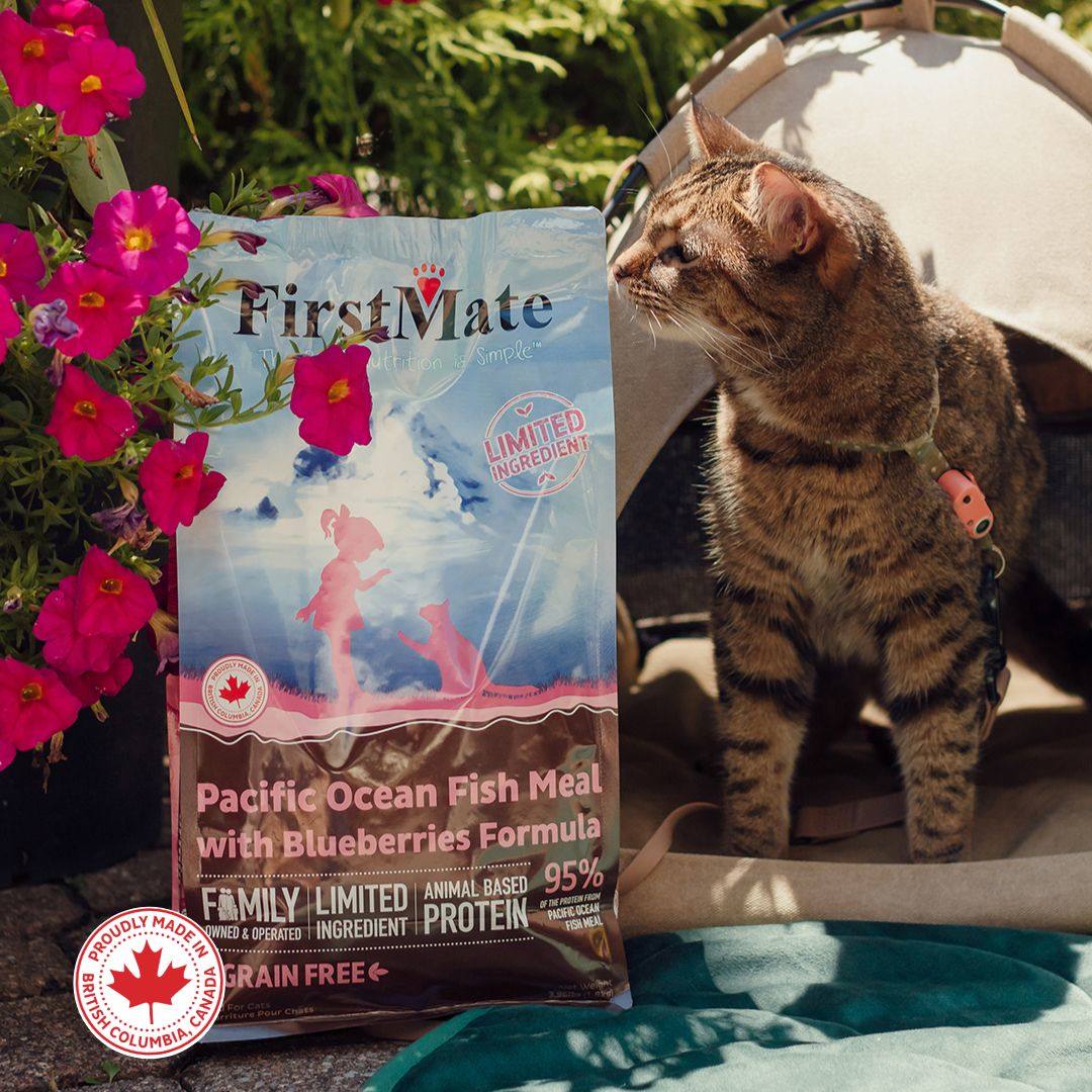 Made in Canada, Loved by Cats! 🐾🍁
✔️ Family-Owned & Operated since 1989 🏡
✔️ Over 35 years of manufacturing excellence
✔️ Dry facility & human-grade cannery
Available in Chicken & Blueberry and Pacific Ocean Fish & Blueberry
Viva Pets 15004 107 Ave NW Edmonton