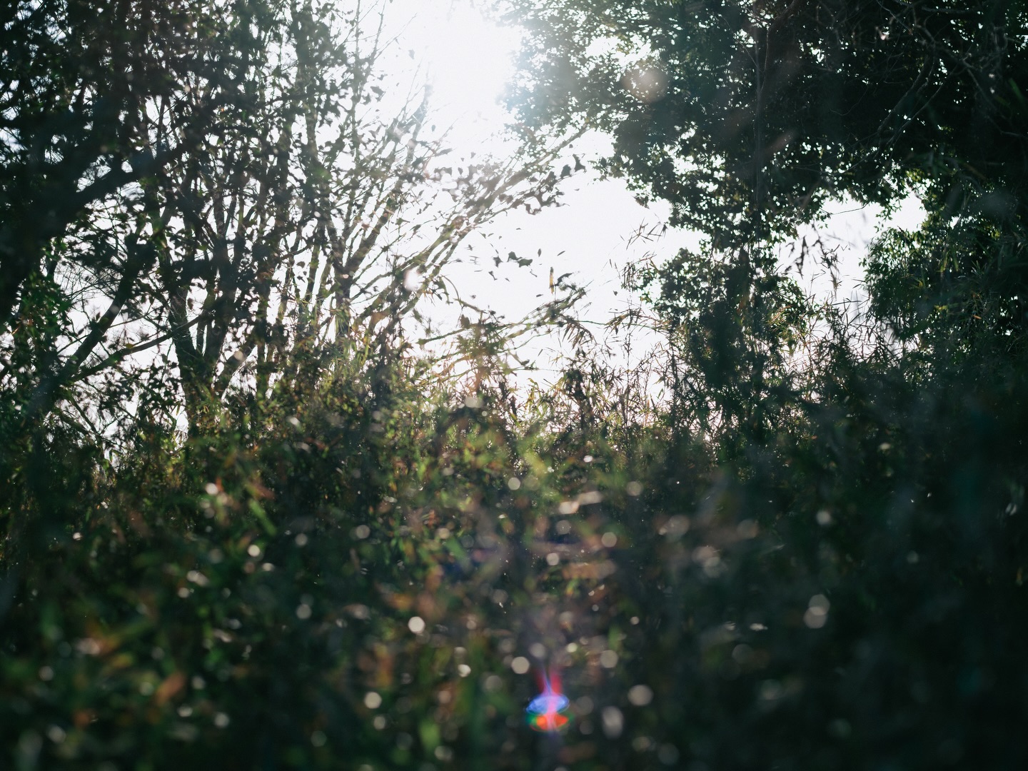 .
冬もよいし春もよい。