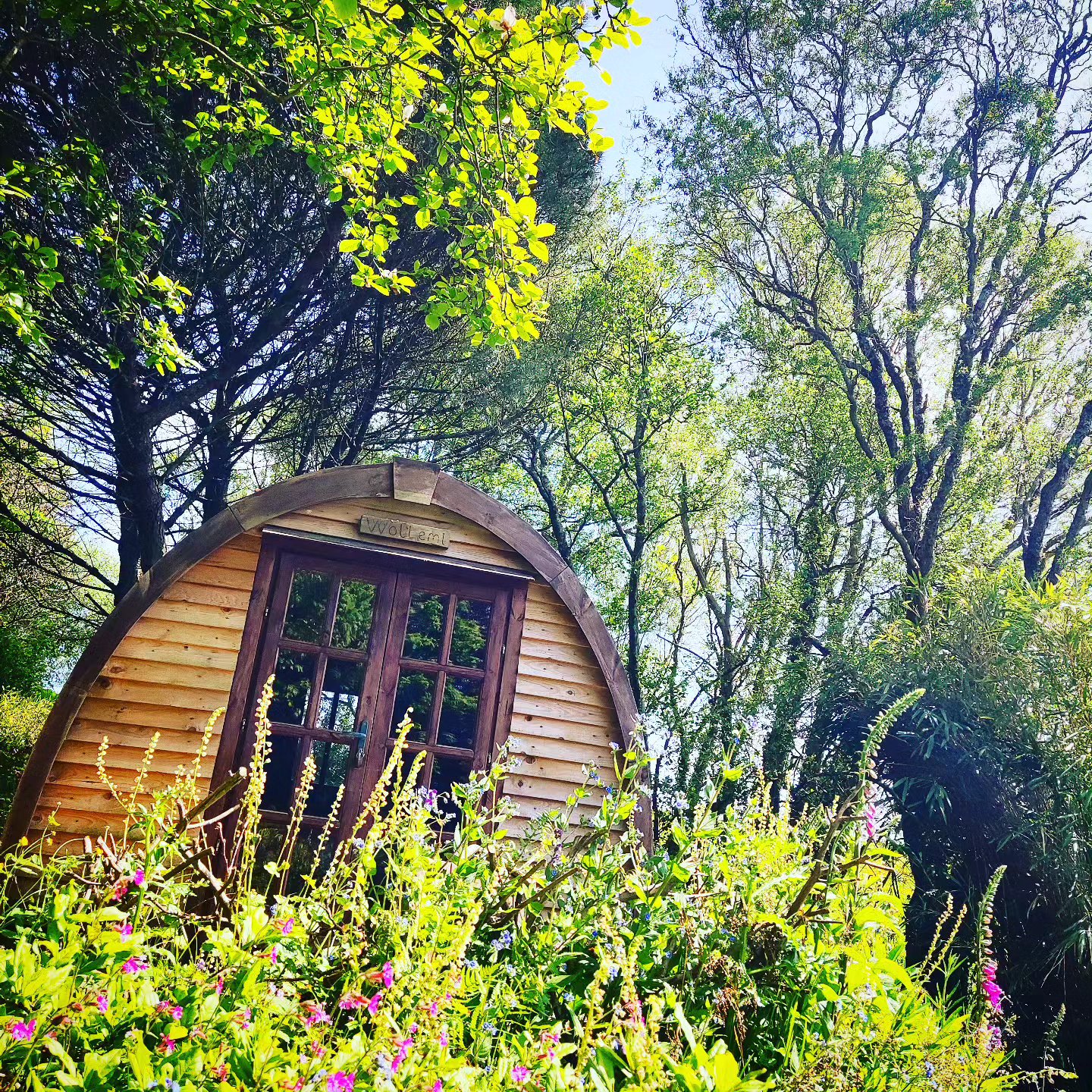 Spring is here at The Greenhouse Spa Retreat 💚
With time for rest and rejuvenation the garden has burst into new life.
Dan and I also have by going live on @fresha for all your spa bookings.
Make sure to book in for your onsite spa treatments with the link below 👇
https://www.thegreenhousespa.co.uk/treatments
It's our own little cornish jungle to share with you here 🌈
Wollemia the Glamping pod has a stunning location, facing East to West. You are welcomed by the morning sunrise and evening sunset
🌞
Your firepit area looks over the fields and is nestled amongst wild flowers.
Create your own Retreat by booking your Sauna Experience, Fire pit and spa treatments along with your glamping stay.
What a wonderful way to nurture yourself in nature 💚
#nurtureyourself
#fresha #spabookings #treatments #holistic #wellbeing #retreat #nestled #nurtured #wholesome #glamping #camping #cornwall #idillic #cornishjungle #thegreenhousesparetreat