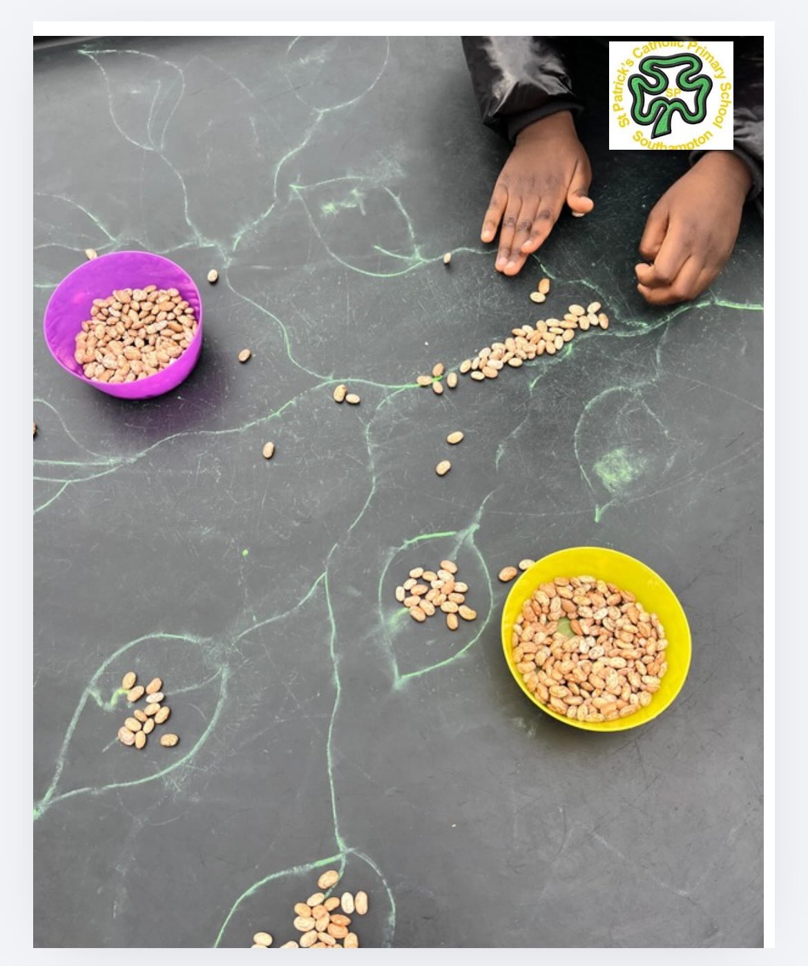 F O U N D A T I O N F R I D A Y ~ from lining up beans along a chalk paint beanstalk to rolling dice, stacking multilink and finding the numeral, Foundation have had an enjoyable week.