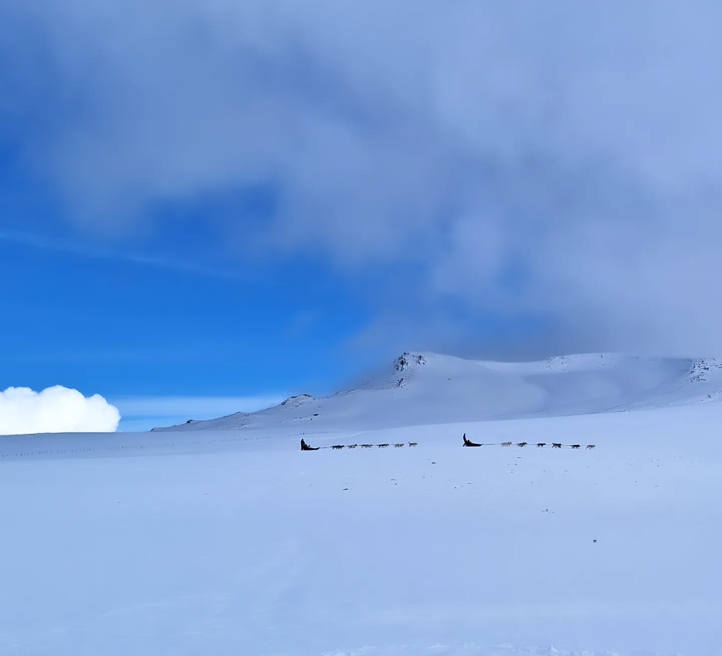 Quelquepart sur les plaines...
Cet apres-midi, notre évasion sur le domaine nordique avait un air de rêve polaire...🤩
#paysagedhiver #instanature #skating #massifdusancy #chiendetraineau