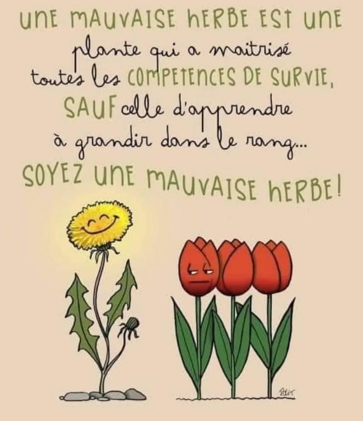 #authentic #etresoimeme #estimedesoi #confianceensoi #briller #différence #cultiversadifference #resilience #saimer #croireensoi #sérénité #paix #paixinterieure