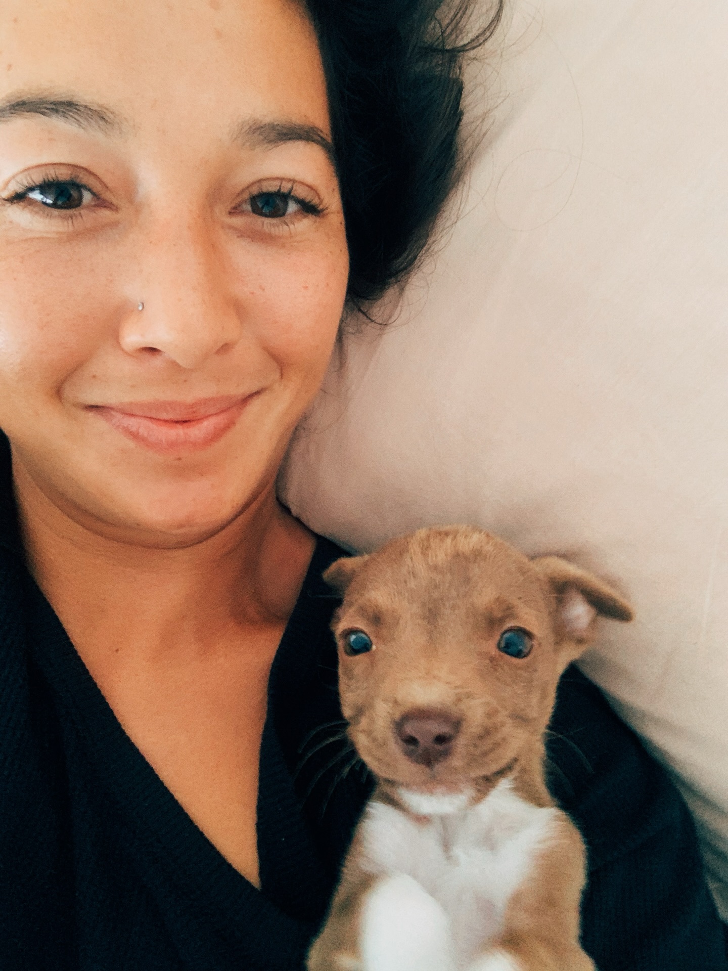 Clearly we’re related & clearly she’s my dependent, said every dog-parent to the tax man.
Thanks for choosing me @littlemangointhebigworld . You brighten my day every day; the embodiment of what unconditional love is—dogs are such a gift to humankind.