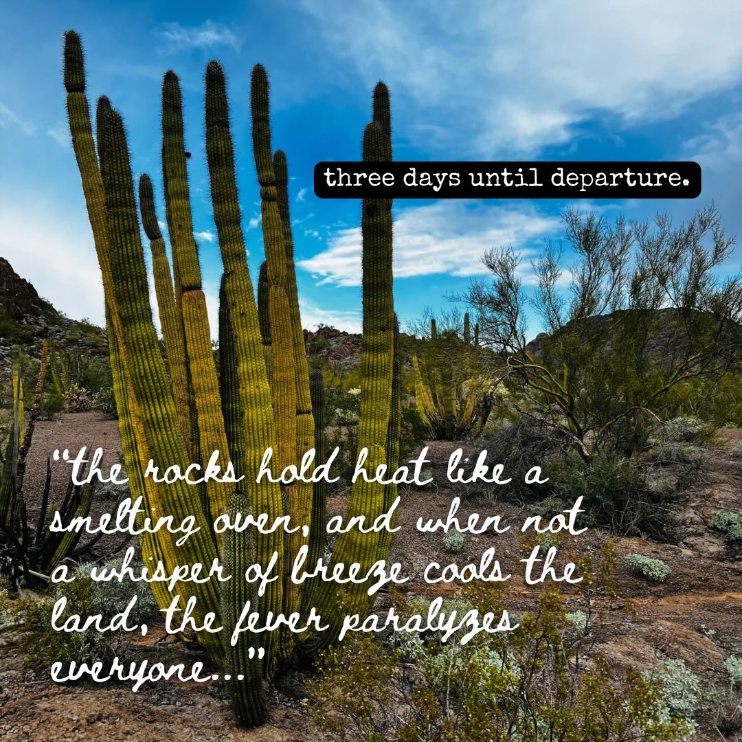 Smart design.
Trail ready.
Three day count down.
.
#smartdesign #historictrail #microcamper #pindroptraveltrailers #arizona
.
@sonorandesertprotection
@borderlandia_az
@ovrmag