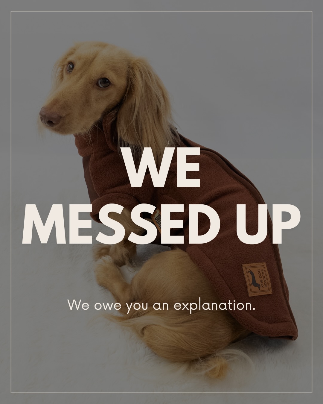 We messed up. 🫠
We made the DoxieDri fleece too good. 🤭
Every single drop has sold out faster than we expected…
and the last one? Gone in 6 hours. 💨
So yes — they’re officially RESTOCKED right now!
If you missed out last time, this is your moment.
Because once they’re gone… they’re gone (again).
Comment SIZE and we’ll help you find your perfect fit 🐾
#restock #doxiedri #sorry #doxiefleece #sausagedog