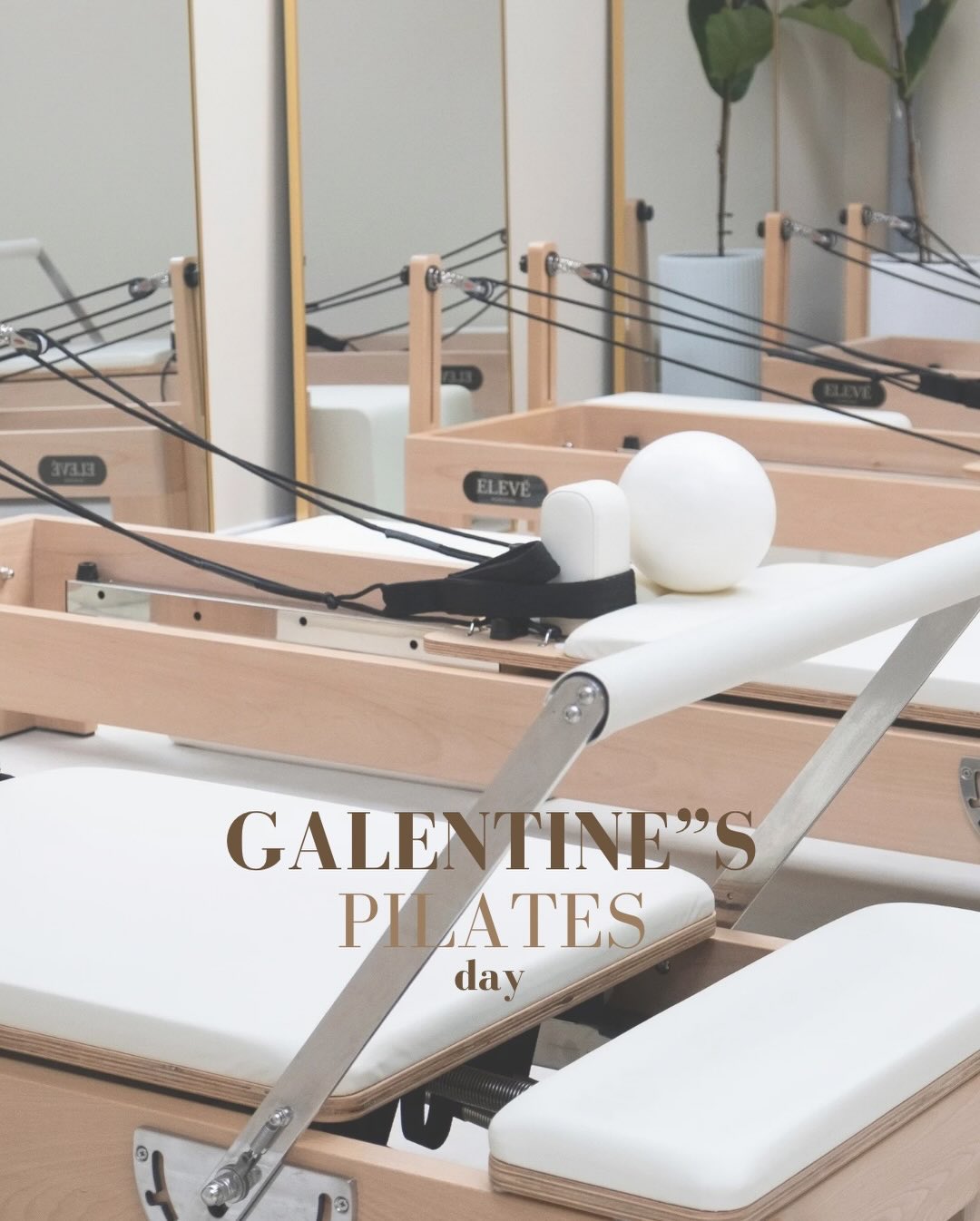 Sold out - Last ticket available for the Galentine’s day at Eleve Pilates bar. Don’t miss this out! 💐
Incl a free drink and more. 😱💗
#galentinesday #reformerpi̇lates #eindhoven #womenonly