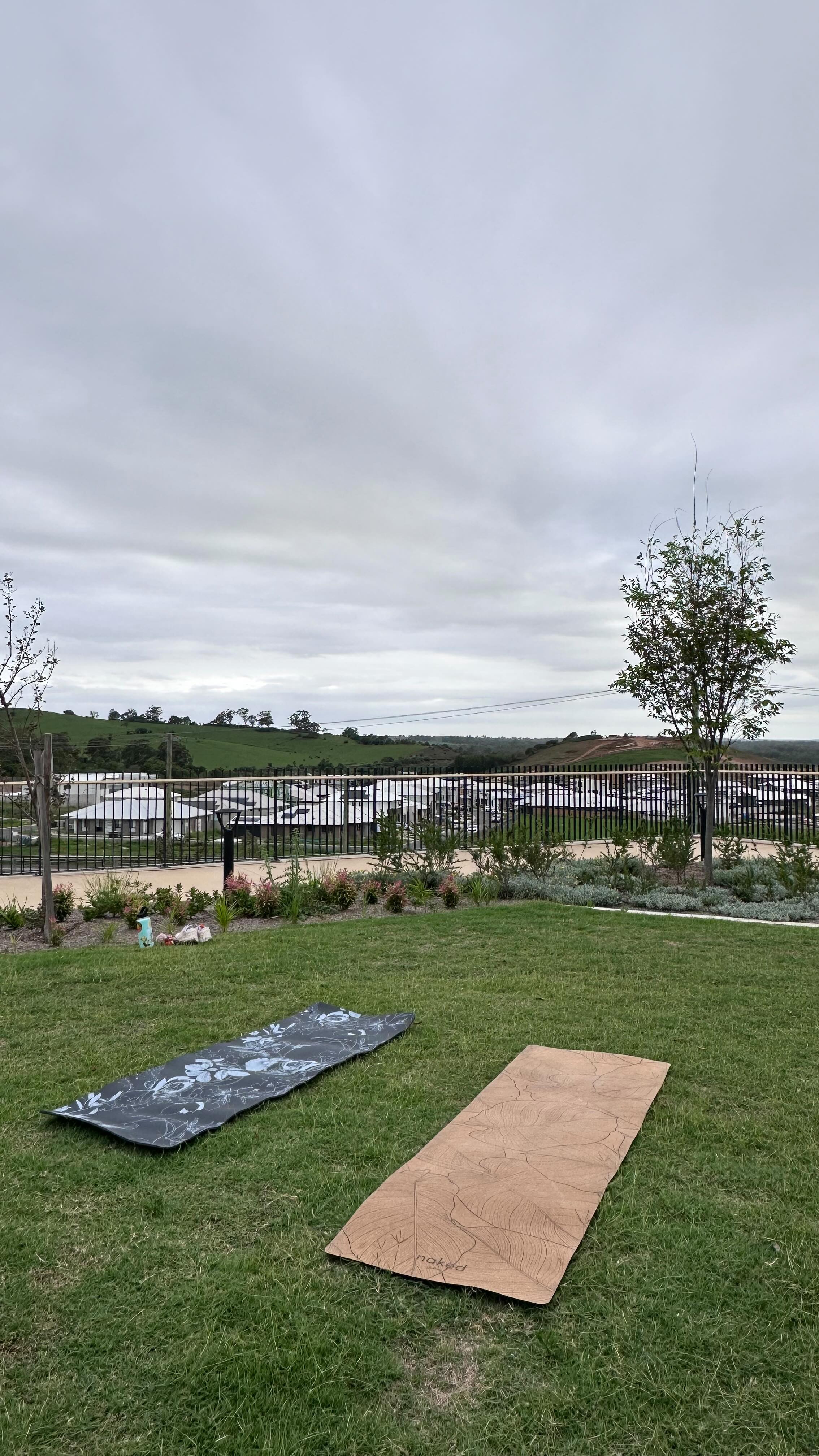 🧘🏽♀️Community yoga perks - we meditate on the cows running up the hill 🐮🤎