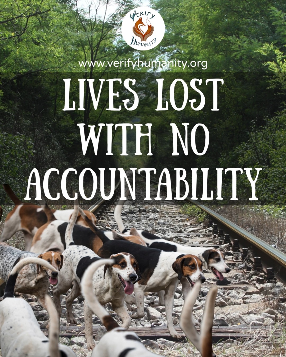 This is exactly why hunting needs to be banned. Riding dangerously close to an active level crossing isn’t just irresponsible; it puts train drivers, the public, and the animals involved at serious risk. If the people involved in hunts truly cared about their animals, this wouldn’t keep happening. Tradition is not an excuse for recklessness or cruelty. Nothing good comes from an activity that repeatedly endangers the lives not just of foxes but also of hounds and horses, and even people. Stand with us to end hunting once and for all.
#EndHunting #ProtectAnimals #Foxhounds #TrainSafety #CrueltyIsNotTradition #WildlifeRights
Source: Lincolnshire Police News - Saxilby - Misuse of a level crossing - Published: 08/01/2026 https://www.lincs.police.uk/news/lincolnshire/news/2026/jan/saxilby---misuse-of-a-level-crossing/