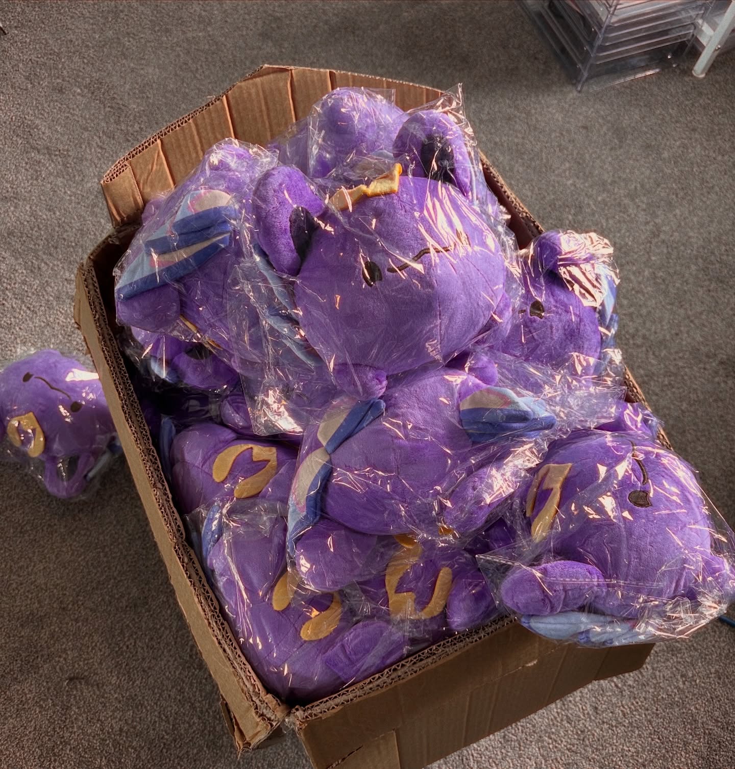 LOOK AT ALL THESE BINGUS
That’s right, Bingus has finally arrived in his plush form!
I’ve been packing pre orders all day and I only have a few left to go, so they should all be shipped out this week!!
I can’t wait for these cuties to go to their homes!
More bingus plushies will be available on the website shortly! Make sure to grab yours before stock runs out!