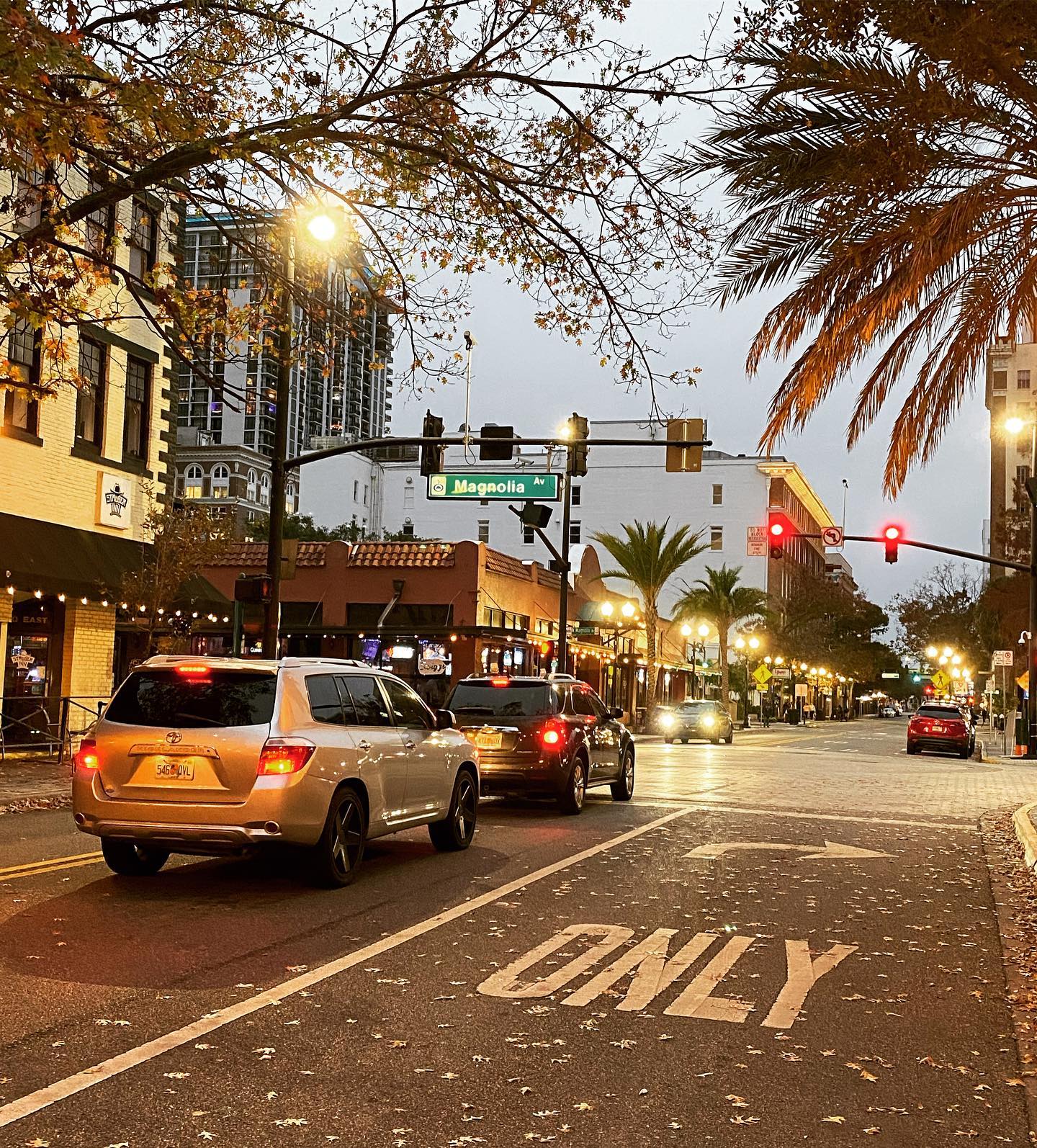 🚥