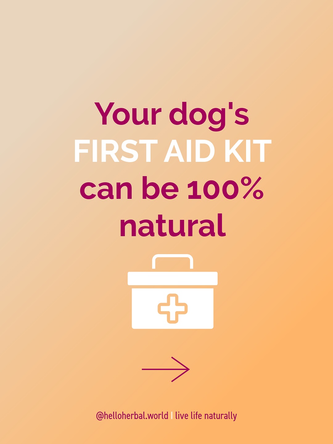 No need for chemicals to treat most of your dog’s common problems! 🐕
I use a lot of natural remedies for our dog and she is thriving on those. Here are 8 simple, natural remedies that I use regularly.
From teary eyes to anxiety, these gentle solutions use nature to support your dog’s health. Swipe through to discover the power of chamomile, honey, calendula, turmeric, yogurt and more!
Remember: These remedies are for minor issues only. Always consult your vet for serious or persistent symptoms. Your dog’s health and safety come first!
💚 Follow @helloherbal.world for tips, recipes and DIYs to live life naturally
#NaturalDogCare #DIYDogRemedies #HolisticPets #DogWellness #NaturalPetCare #DogHealth #HerbalRemedies #PetCareTips
