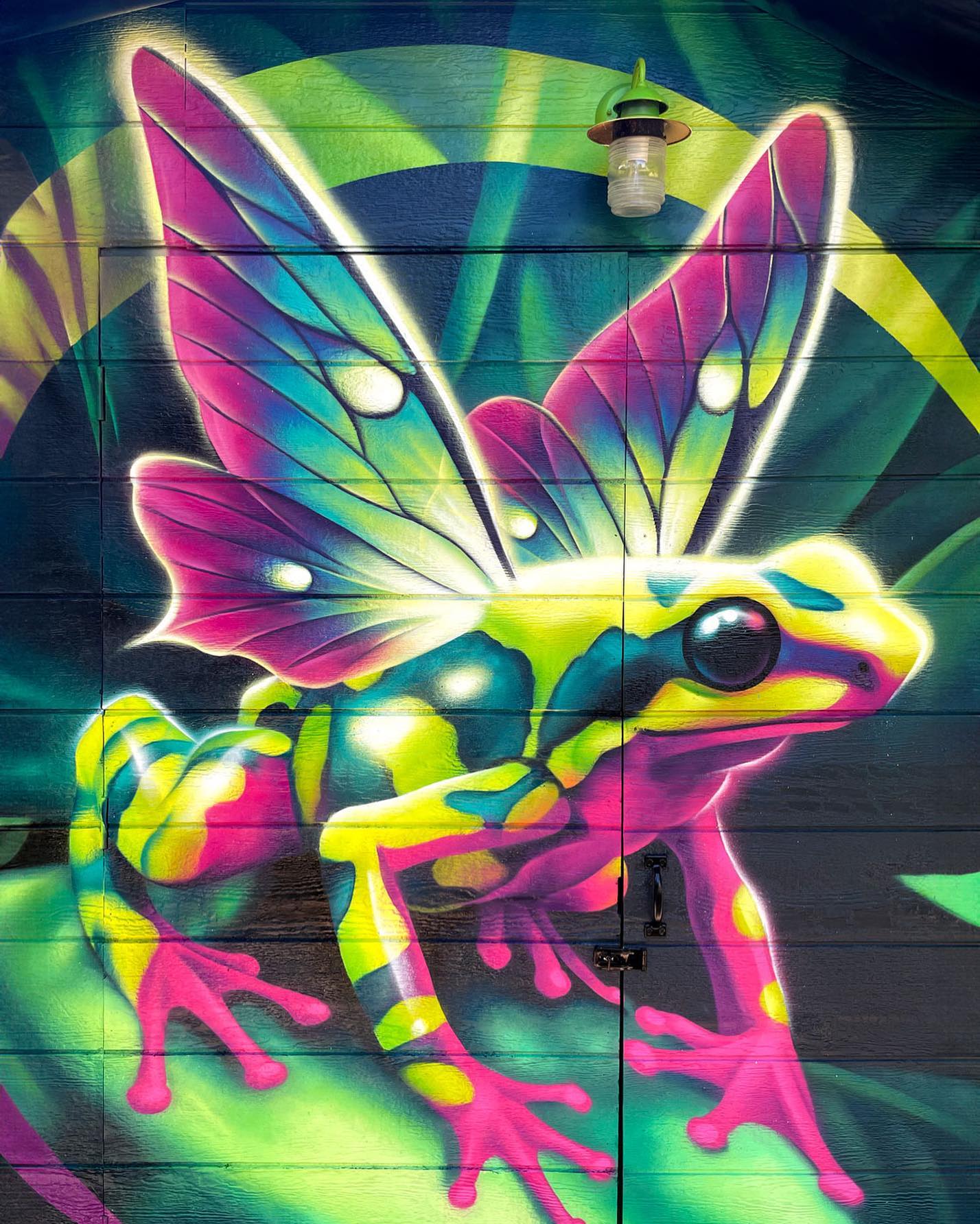 🧚🐸✨
#fairy #fairyfrog #frog #poisondartfrog #muralist #denverartist #denverstart #denverstreetart #bigart #sprayart #montanacans #montanablack #montanagold #muralartist