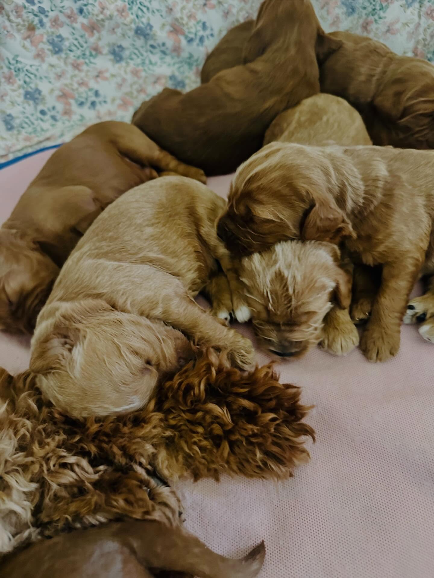 Sleepy heads๐๐๐