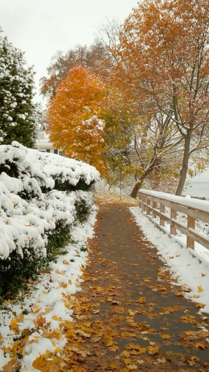 Day 4 of posting my Fujifilm results #fujifilmx100vi
30 days of my favourite photos shot on my Fujifilm X100VI.
For the next month, I’m sharing images I genuinely love. Photos I keep coming back to. Everyday moments, travel frames, quiet details, and the kind of shots that made me pause when I reviewed them.
Some are straight out of camera.
Some are lightly edited.
All are personal favourites.
This isn’t a technical breakdown or a buying guide. It’s a visual diary of what this camera looks like in real life, through my eye, in real conditions.
If you’re curious about Fujifilm colours, film simulations, or just enjoy intentional photography, I think you’ll enjoy this series.
Save if you want to reference later.
Follow along for the full 30 days.
#fujifilm #x100vi #fujifilmphotography #filmsimulation sooc photographydiary travelphotography reelsphotography visualjournal