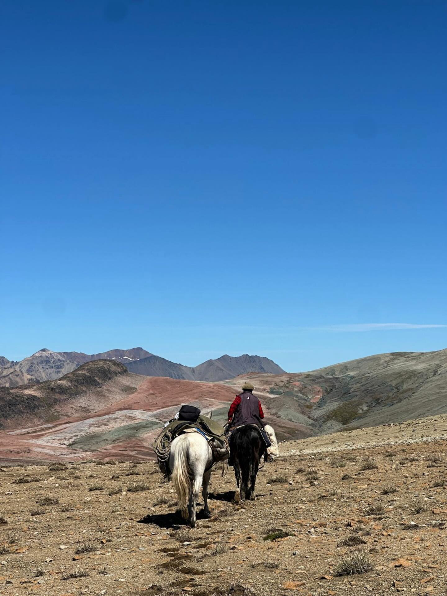Compró un caballo y con su manta castilla partió su viaje. Después de meses recorriendo, una tarde ya cansado, mojado hasta los huesos, sin mucha convicción de por qué seguir, se detuvo y se preguntó; “¿Qué hago aquí?”, entonces lejos en un valle vio humo que salía de una pequeña rancha de canogas, un puesto en su versión más rústica y antigua, piso de tierra, madera bruta ensamblada para protegerse del agua y de los vientos que cantan y azotan en nuestra región, un puesto tan sólo como quién lo habitaba, en una naturaleza inmensa y dominante. Dos perros ladran, sale un hombre del rancho y ve a este viajero mojado, sólo, ¿quién será?, ¿de donde vendrá?, finalmente ganó la voz de la tierra; “desmonte”, dijo el hombre. Al desmontar Atilio, el hombre vio que nada seco había en su huésped y que el cielo tapado solo amenzaba con seguir mojando; “desensille”.
Atilio Cosmelli
