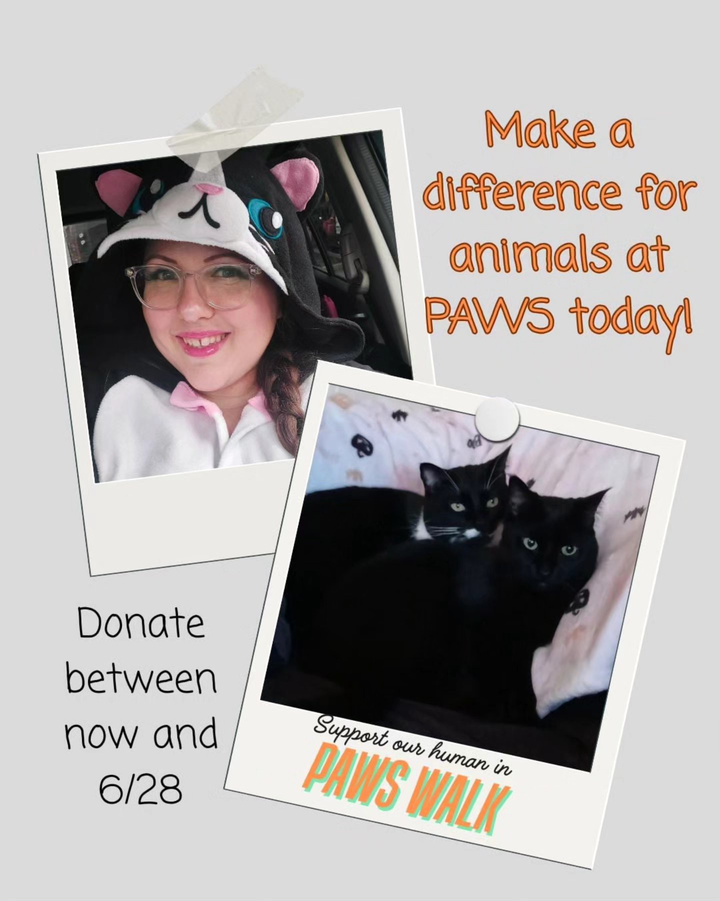I am participating in Paws Walk for 2025 to support animal rescue in our area.
@paws_wa is a great asset to our community in both the wildlife rehab space and in small animal rescue.
I walked with our previous dog in former years but now it's set up where I can track all the time I walk with all of YOUR dogs (or, lets be real, the time I spend running down beaches to see whales will count too 😅).
If you'd like to join my efforts my donation link is https://give.paws.org/fundraiser/6441502 (which will also be in my stories & highlights).