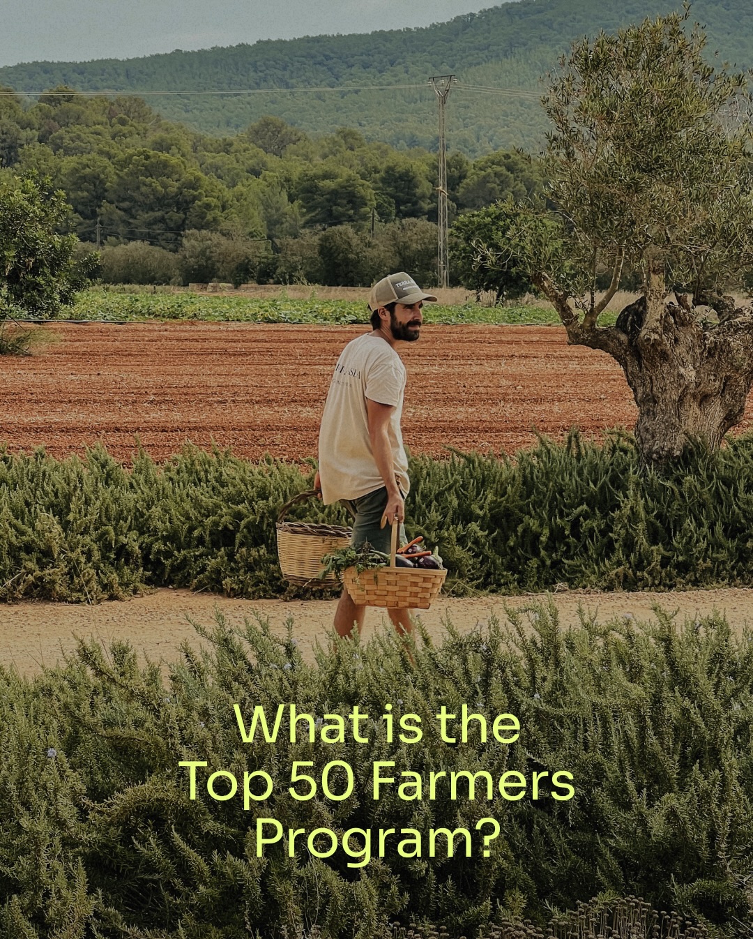 Since launching Foodprint Nordic in 2021 and Top 50 Farmers in 2024, we have seen that regenerative farming is attracting a growing number of young people, women and people from diverse backgrounds and educations.
Our farmer-first accelerator champions pioneering farmers across Europe in strengthening their businesses, visibility, and long-term resilience.
Through a carefully curated, one-year program, farmers gain access to peer learning, trusted networks, storytelling platforms, and resources to support their growth.
By prioritizing shared learning, collective visibility, and long-term relationship-building, farmers expand their influence, unlock aligned opportunities, and develop their businesses in ways that respect their land, values, and people.
And it doesn’t stop after one year.
Each cohort becomes part of the alumni network, staying connected, collaborating, and growing in ways that feel right.
Ready to learn more?
Swipe through to discover how Top 50 Farmers works.
#top50farmers #t50f2026 #T50F #regenag #regenerativeagriculture regenerativefarming soilhealth knowyourfarmer futureoffarming europe