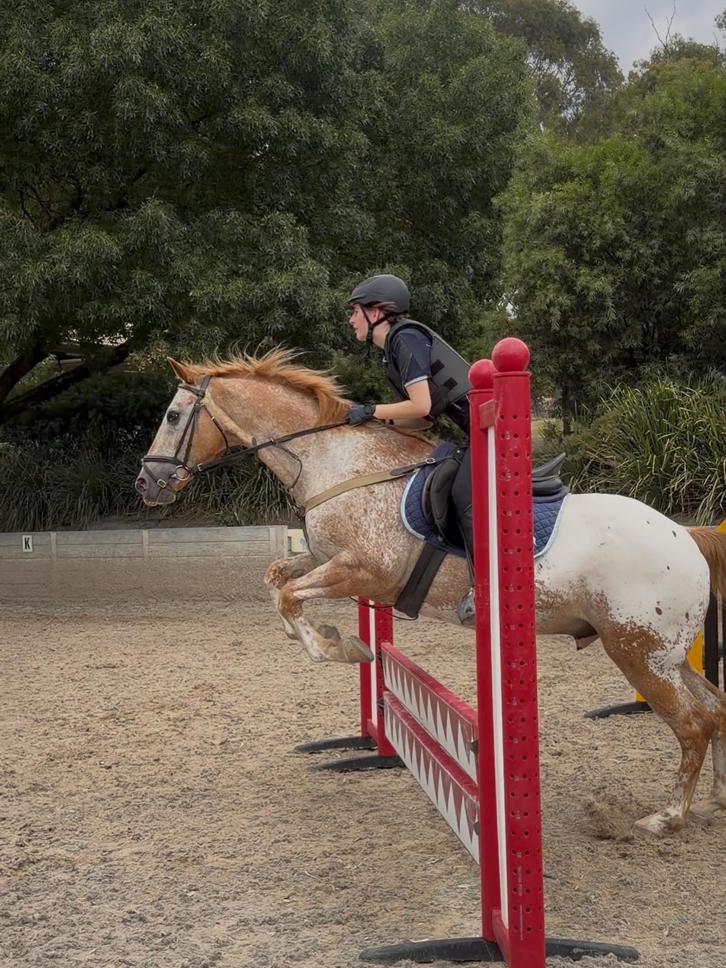TERM 1 LESSONS HAVE BEGUN! ✨
Our lessons are now live and bookable until Thursday 2/April.
With new regular lesson availability 7 days a week, we cater to everyone’s preferences!
Group or semi-private
Mid-week mornings
Mid-week afternoons or evenings
Saturday’s and Sunday’s
There is still time to book regular weekly or fortnightly lessons for T1, to continue through 2026.
We welcome new and returning riders of all ages and riding abilities!
Casual bookings can be made via our online portal. For all regular lesson enquiries please email or call our office.
Our horses and ponies are waiting!