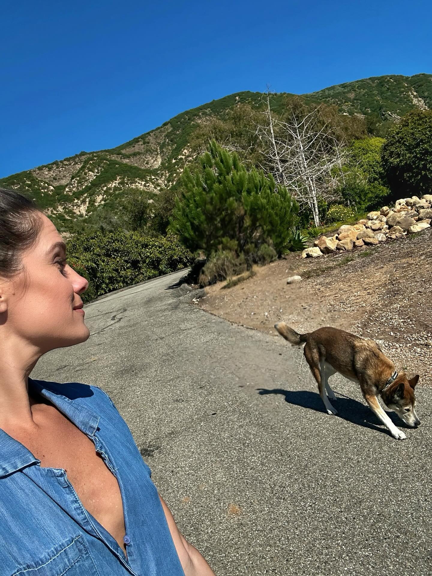 Some days are easier…
We step out the door to take a walk
On a warm, 73° February day
And I feel thankful we aren’t covered in snow
I notice the sparkling ocean winking at me and consider how many people *dream* of gazing upon the Pacific
As I round the orchard and head up the slope towards our rental home, I remember spending most of 2025 huffing and puffing — struggling to breathe as I walked this incline, because severe anemia and blood loss were starving my body of oxygen
Today I can breathe
And I notice how pleasant it is to take a walk and be able to just… breathe
Not plagued with wondering
“What’s wrong with me?”
Or, “When will I feel better?”
Here I am, now… better
I can breathe again
And even if this only lasts for today
Even if death and destruction come knocking on my door again, as it surely will in my lifetime — For today, I will cherish being able to breath