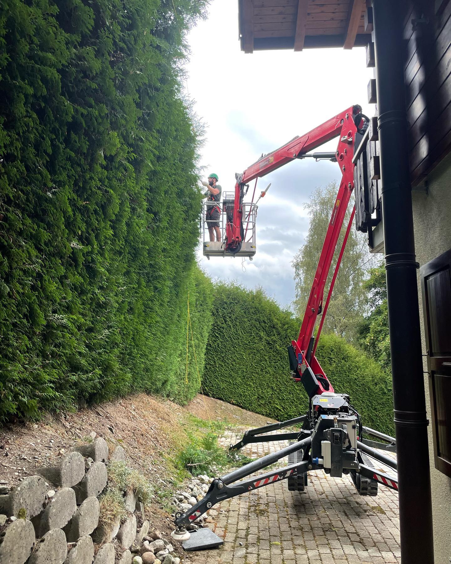 If you have a big bush we have the tools to get it in shape.