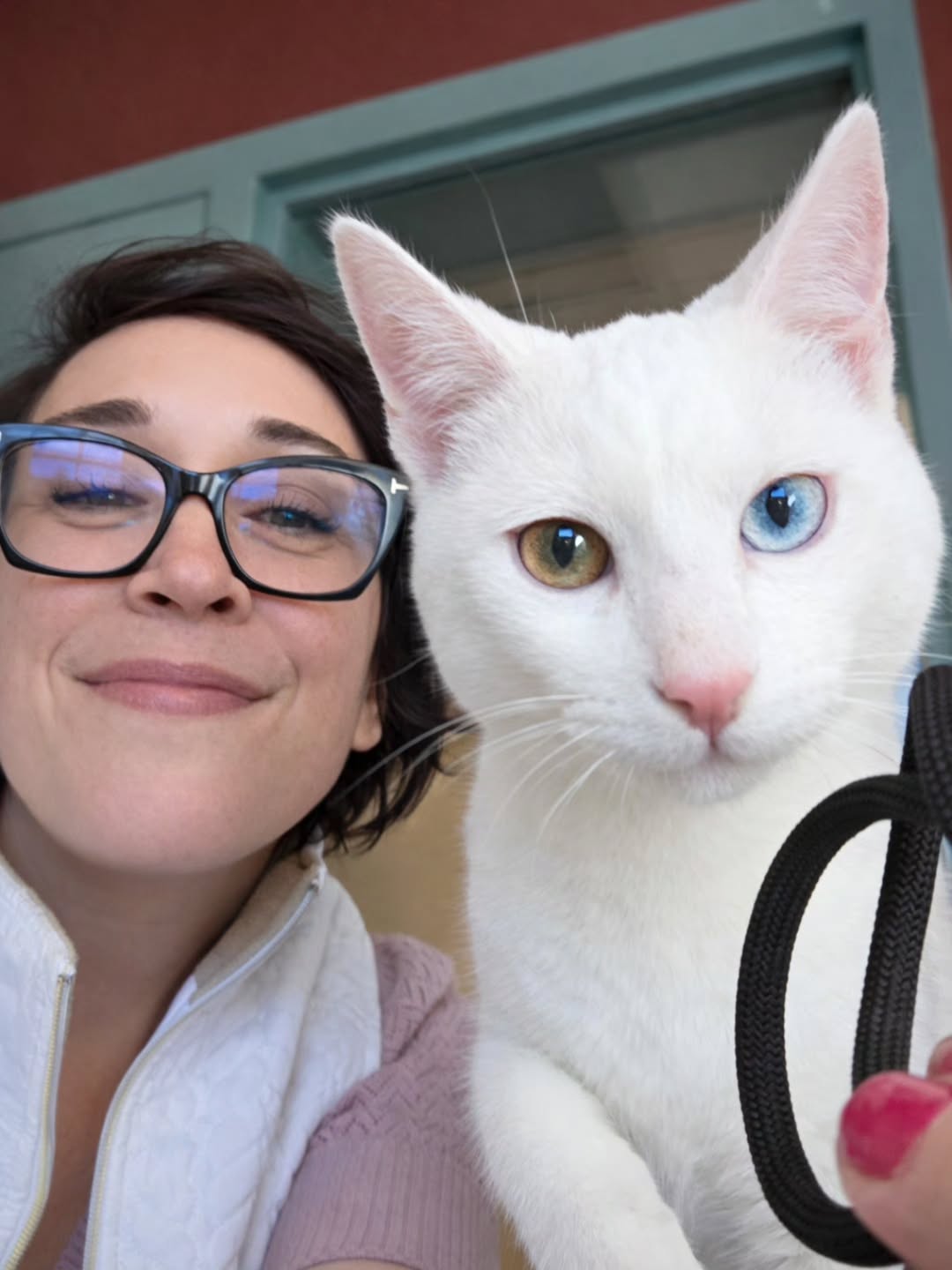 My first love was a white kitten. This baby and their sibling is still available @rpanimalservices
Such a fun little spirit!