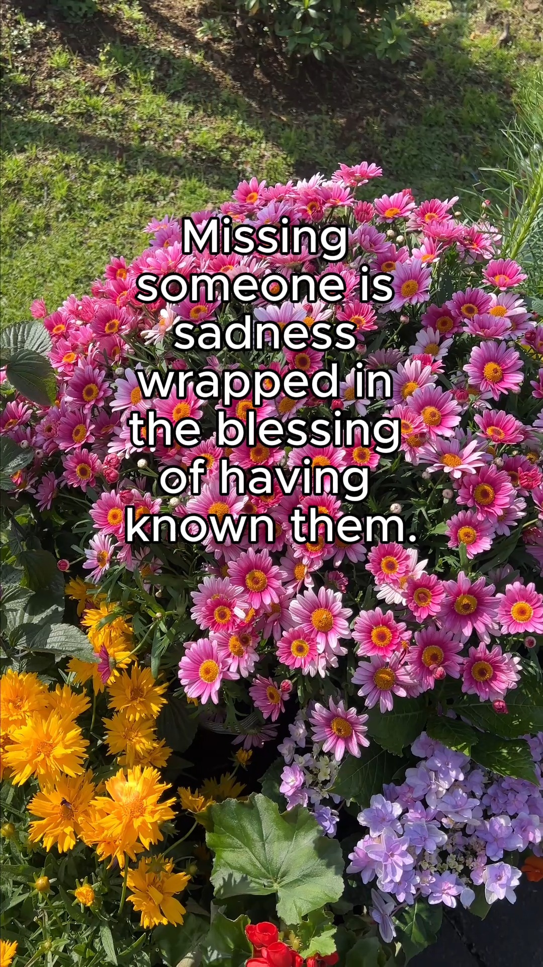 Sending love to all who are holding loss close today — especially those missing someone this Valentine’s Day ❤️
Come and be held with care and compassion on February 21–22, 2026.
https://www.yourdoulaforgrief.com/virtual-retreat