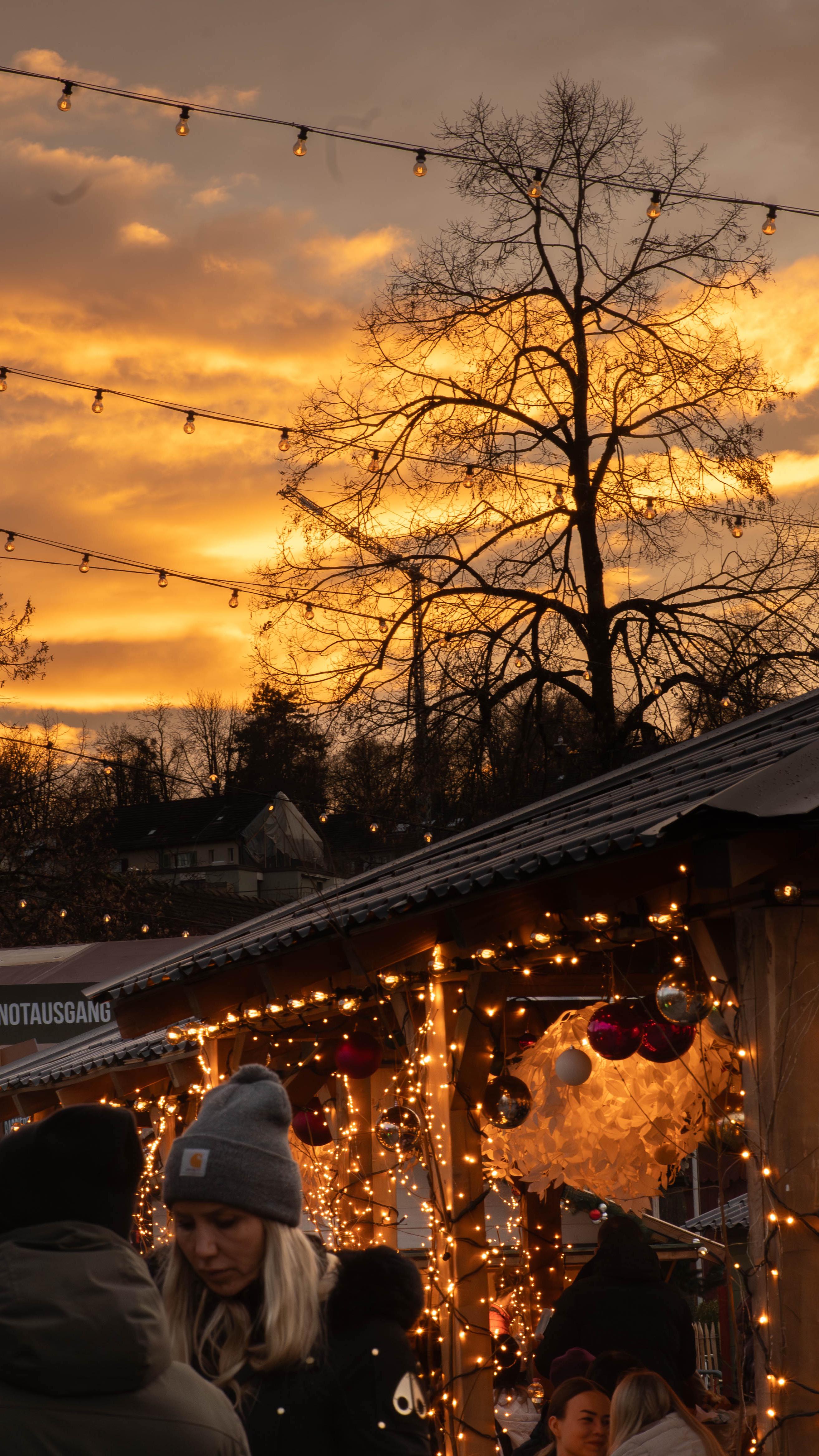 🛍️🎁🌮
Hach, wir lieben unsere Weihnachtsbubble einfach! 🎄🫧
💬 Was mögt ihr an der Adventszeit am liebsten?
#winterthurerwintermarkt #weihnachtsmarkt #christmas