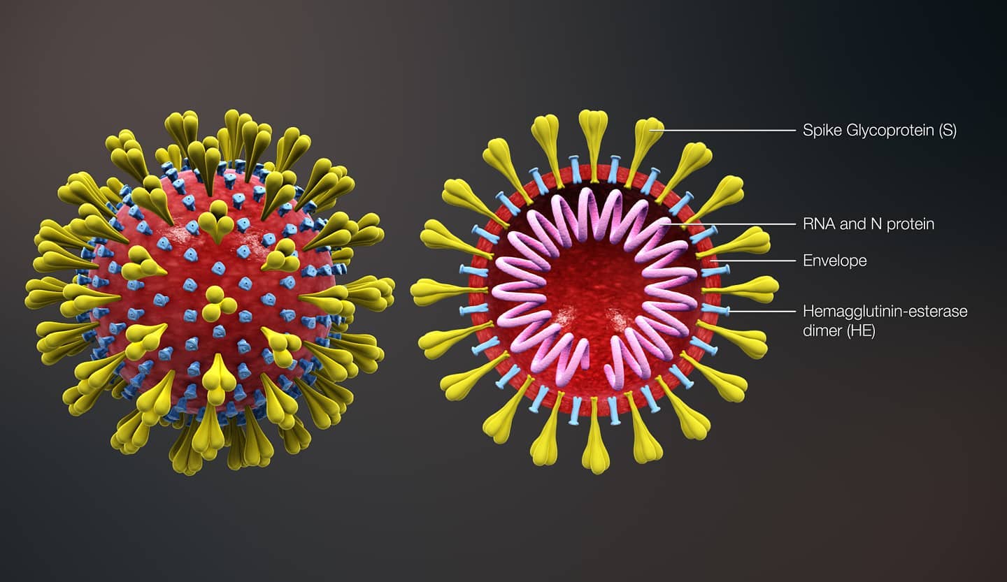 Damn Corona. You're fancy looking, but you're high maintenance.
#pandemic #byecorona #coronavirus #isolation #contagion #RNA #virus #biology #biochemistry #chemistry #gcse #tutor #scientist
