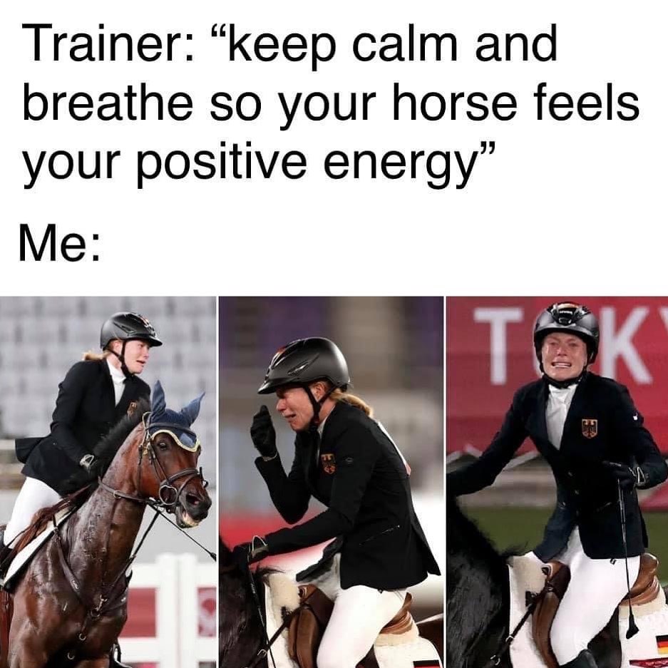 Too funny not to share! 🤣 #NoPainNoGain