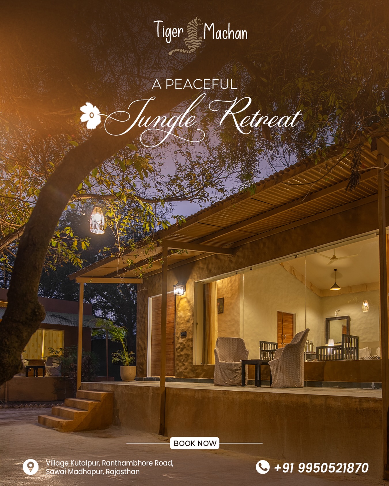 Escape the noise and discover A Peaceful Jungle Retreat at Tiger Machan Resort, Ranthambore 🌿🐅
Wake up to birdsong, relax in cozy luxury cottages, and experience nature like never before. Perfect for wildlife lovers, weekend getaways, and unforgettable jungle stays.
📞 Book Now: +91 9950521870
📍 Village Kutalpur, Ranthambore Road, Sawai Madhopur, Rajasthan
#TigerMachanResort #Ranthambore #JungleRetreat #LuxuryInNature #WildlifeStay SafariVibes NatureEscape TravelRajasthan ForestStay WeekendGetaway IncredibleIndia ResortLife ExploreNature WildAndFree TravelDiaries
