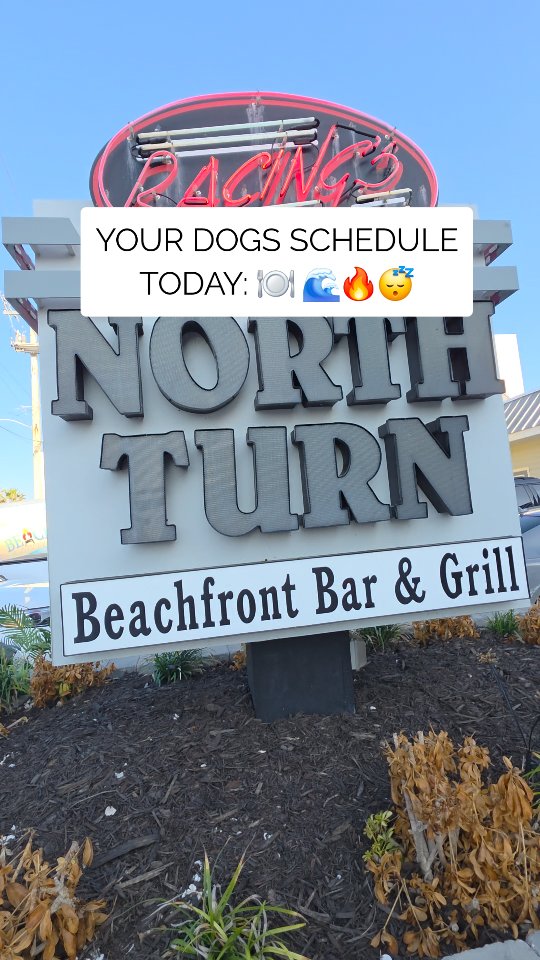 Our Beach Campfires are designed to be totally effortless so all you and your pup need to do is show up and soak in the coastal vibes.
We 💕 @racingsnorthturn23 because they're dog friendly too! Plan a night out with your dog!
✔️Dinner on the deck
✔️Private Beach Campfire
✔️Relaxing Memories
Book yours at www.barefootphilosophy.com
#dogtravel #beachcampfires #lovedaytonabeach