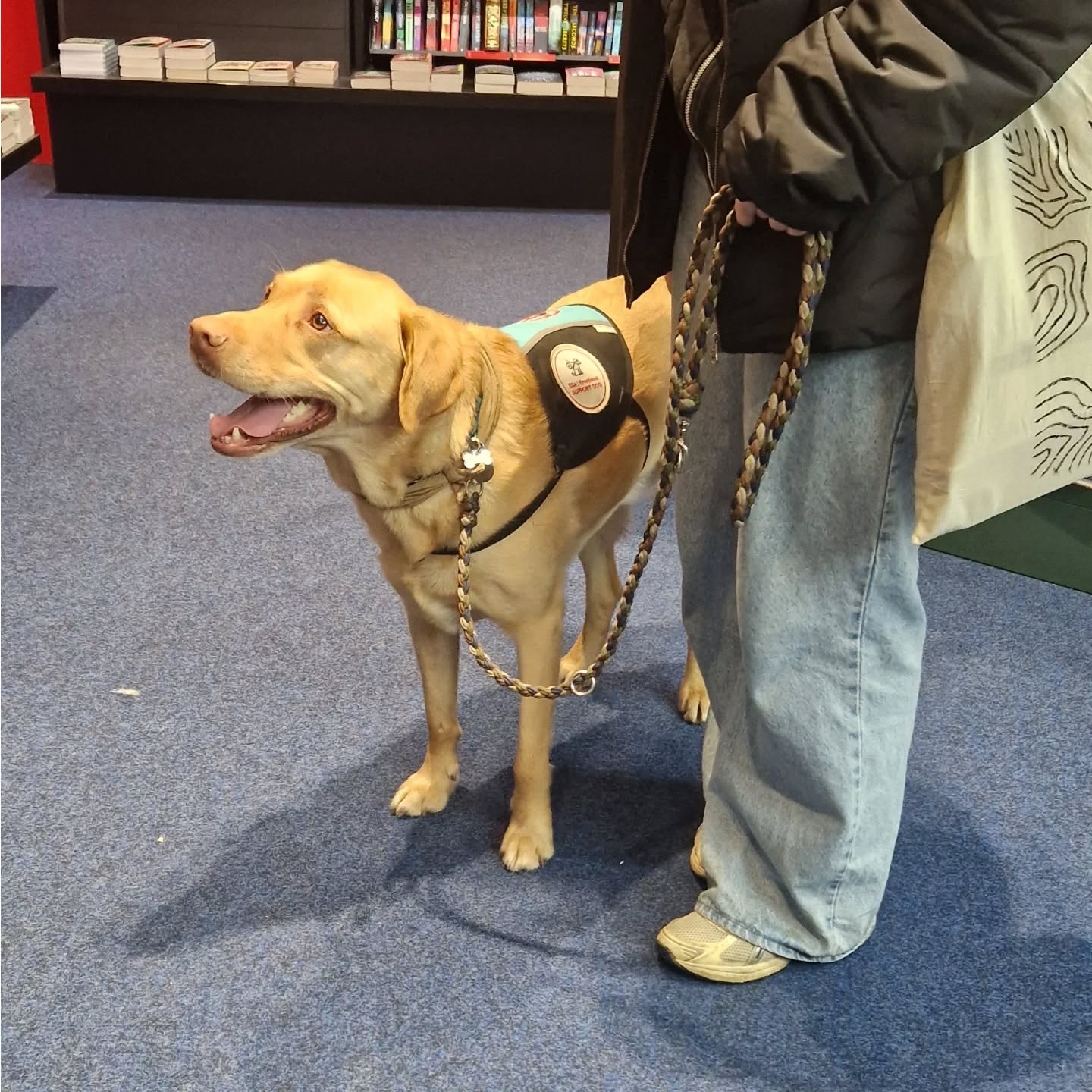 Wir gratulieren dem Team Bang herzlich zur bestandenen ESA-Nachprüfung, die alle zwei Jahre stattfindet. Weiterhin viel Freude und Erfolg 🐕🍀🐾🥳