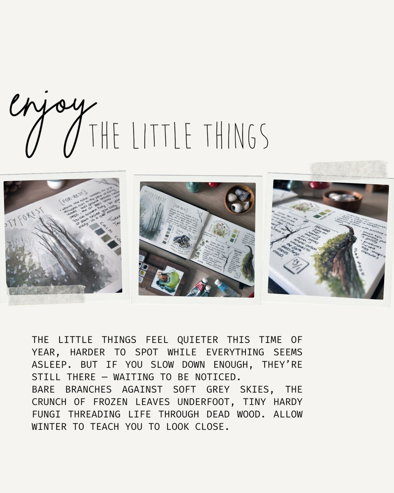 February’s nature journaling pages are now on my Patreon. 💕
.
#naturejournalling #winterjournalling #softquietdays #slowdownandnotice #patreoncreator