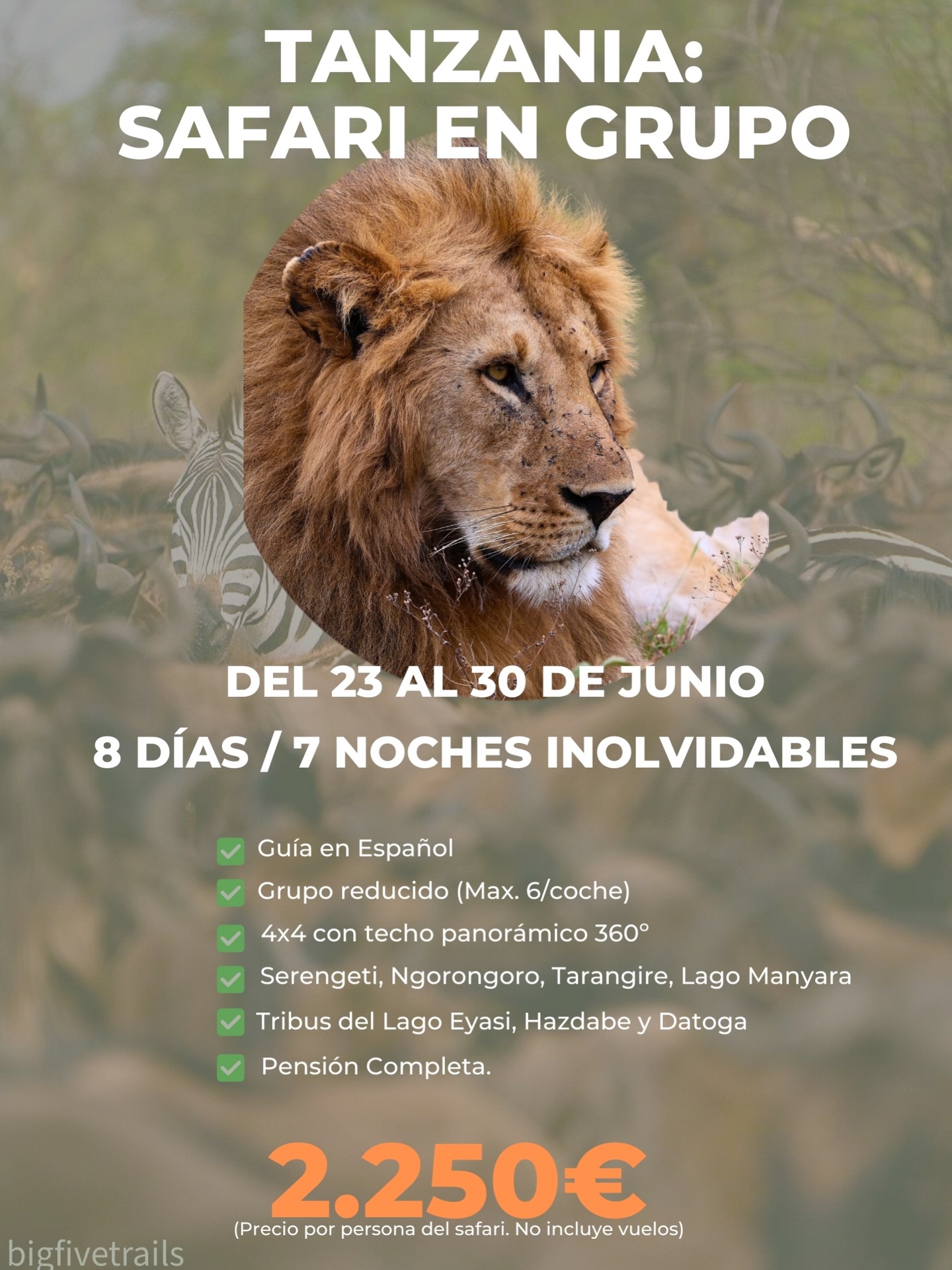 Dicen que lo único que dejas en África es el corazón. 🌍🦁
Hemos diseñado la ruta definitiva para vivir un safari inolvidable en este 2026: desde amaneceres dorados en la sabana hasta noches bajo las estrellas.
¿Quieres vivir esta aventura? ¡Escríbeme por DM y te envío el itinerario completo paso a paso! 📥
#safarigrupal #bigfivetrails #safaritanzania #safari #viajestanzania